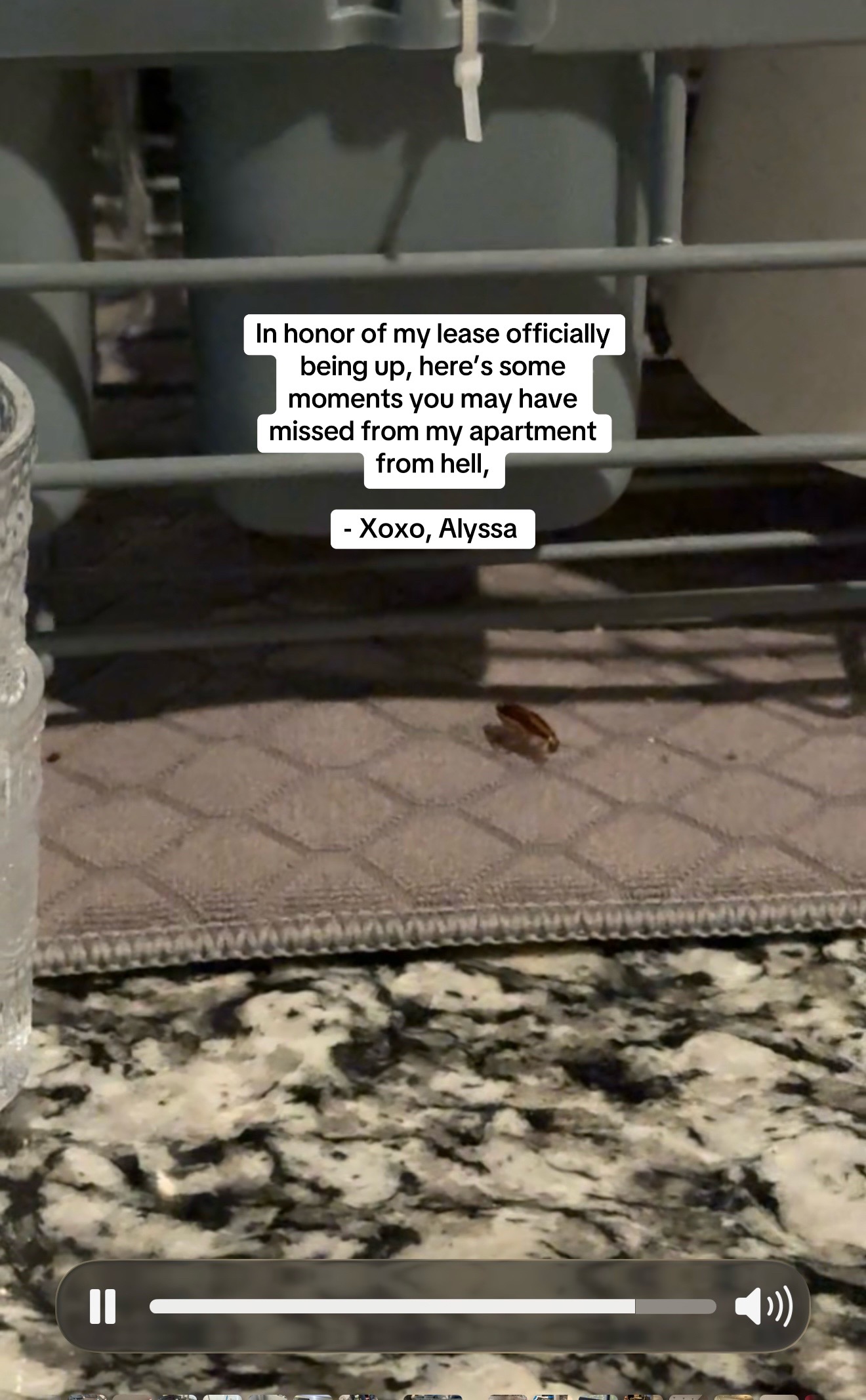 @alyssaalyssascz