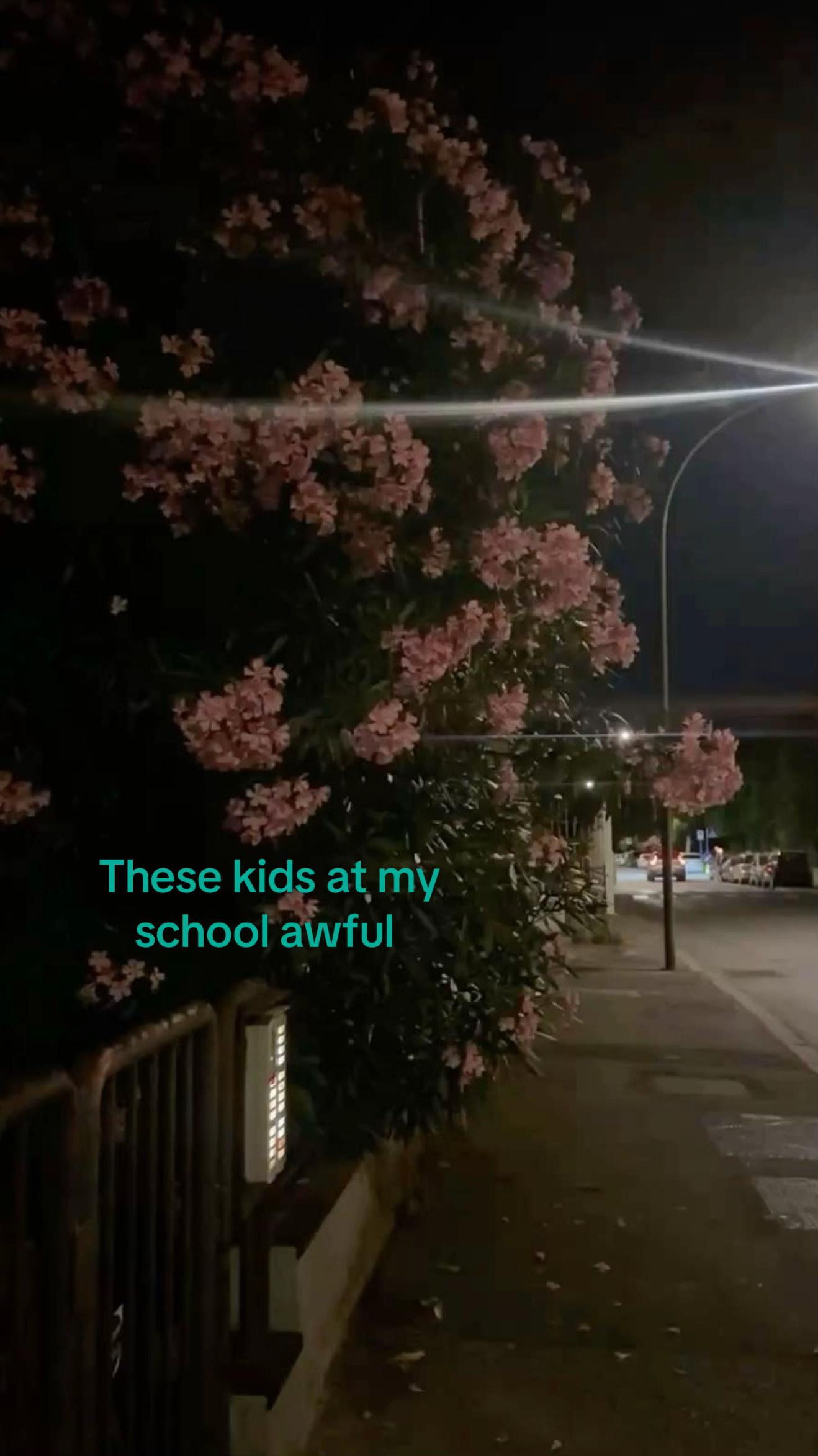 @๐ ๐๐๐๐๐๐ ๐๐หโโง