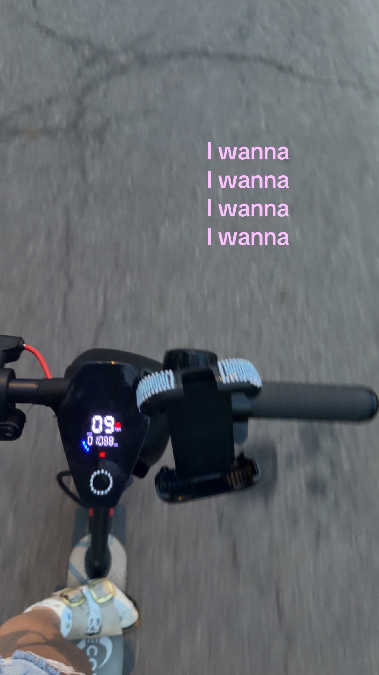@🪶ℋ𝒶𝓁ℯ𝓎🪶