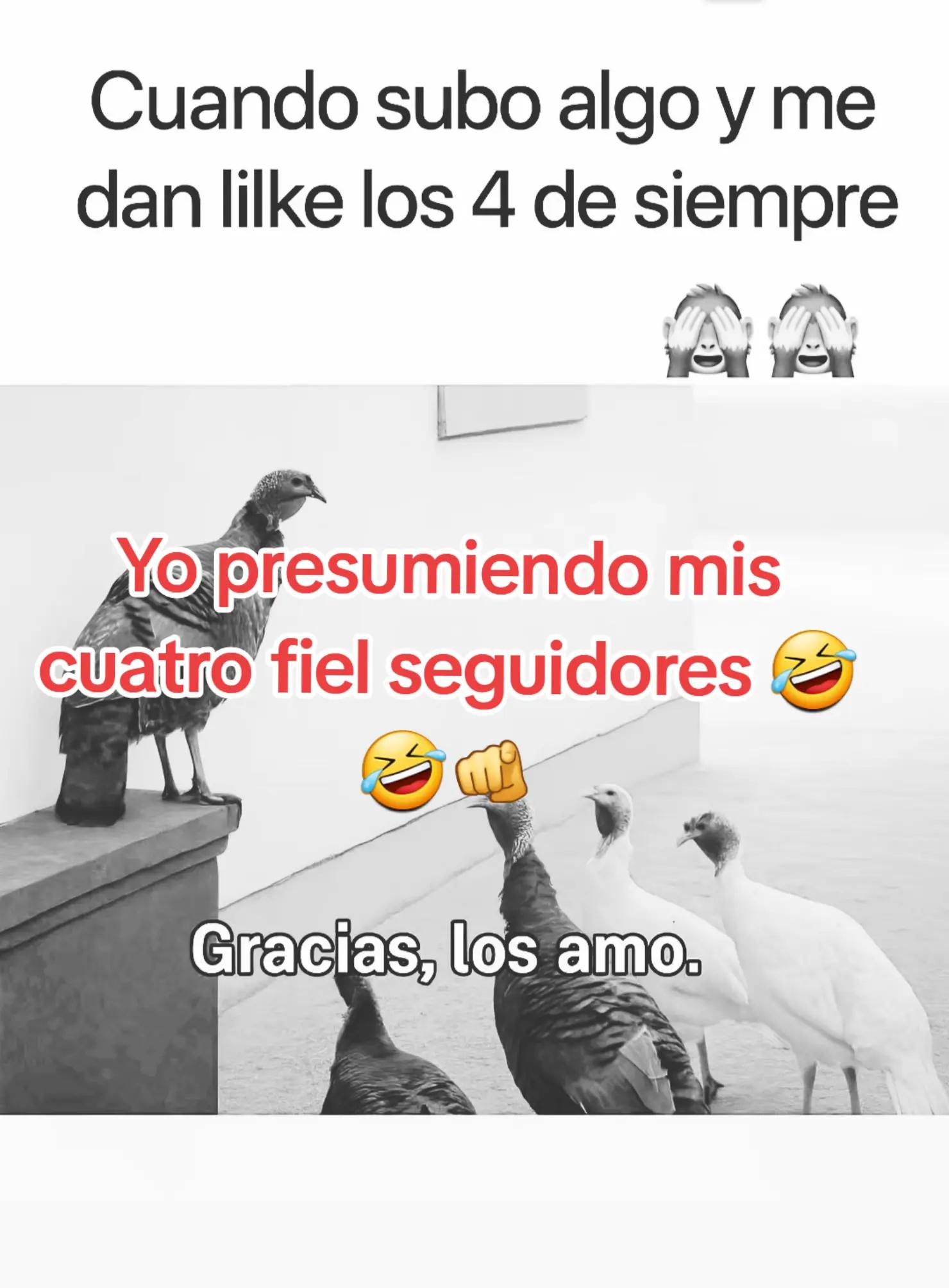 @Gabrielito 502
