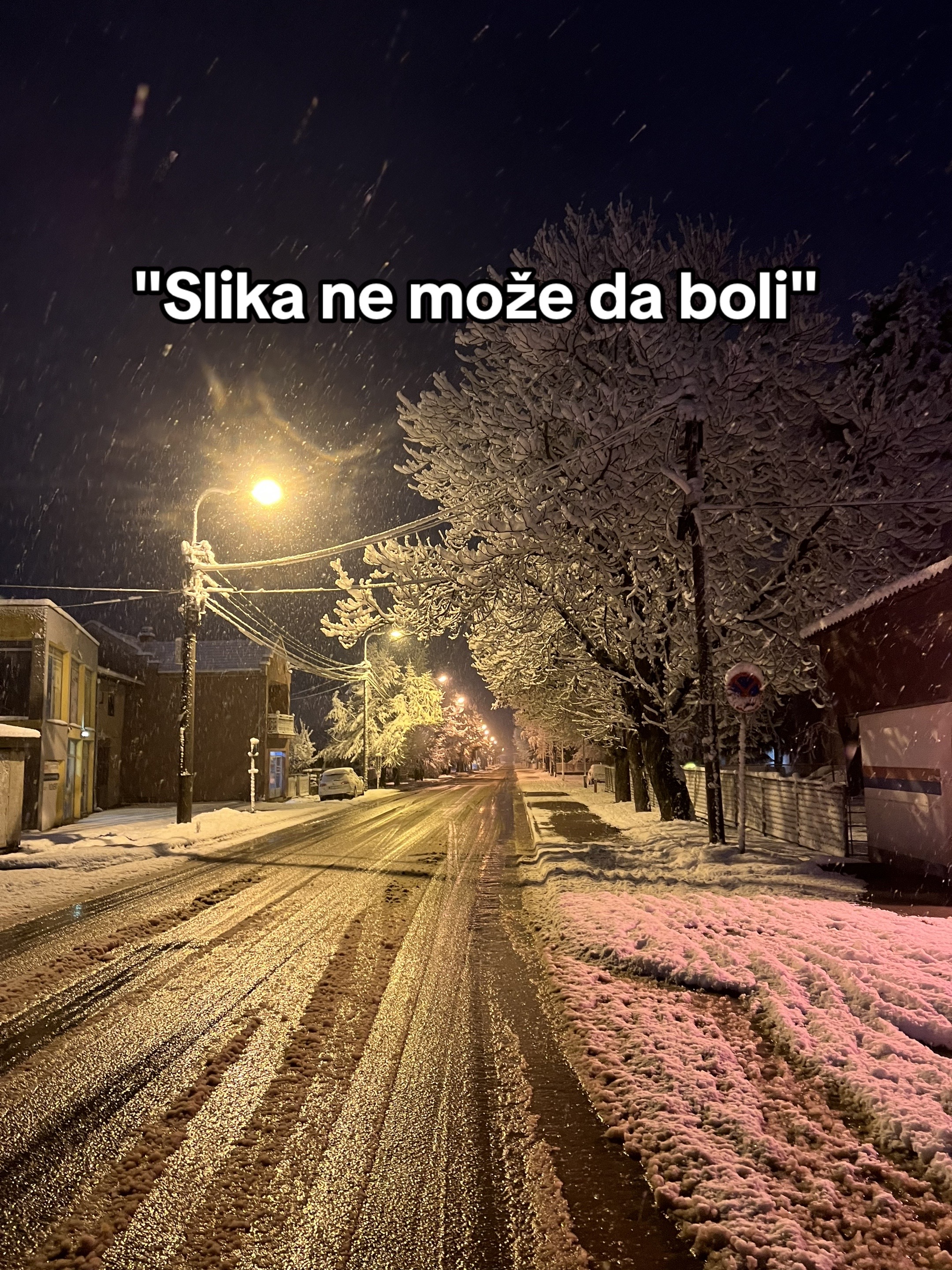 @Luka Trajković🔮