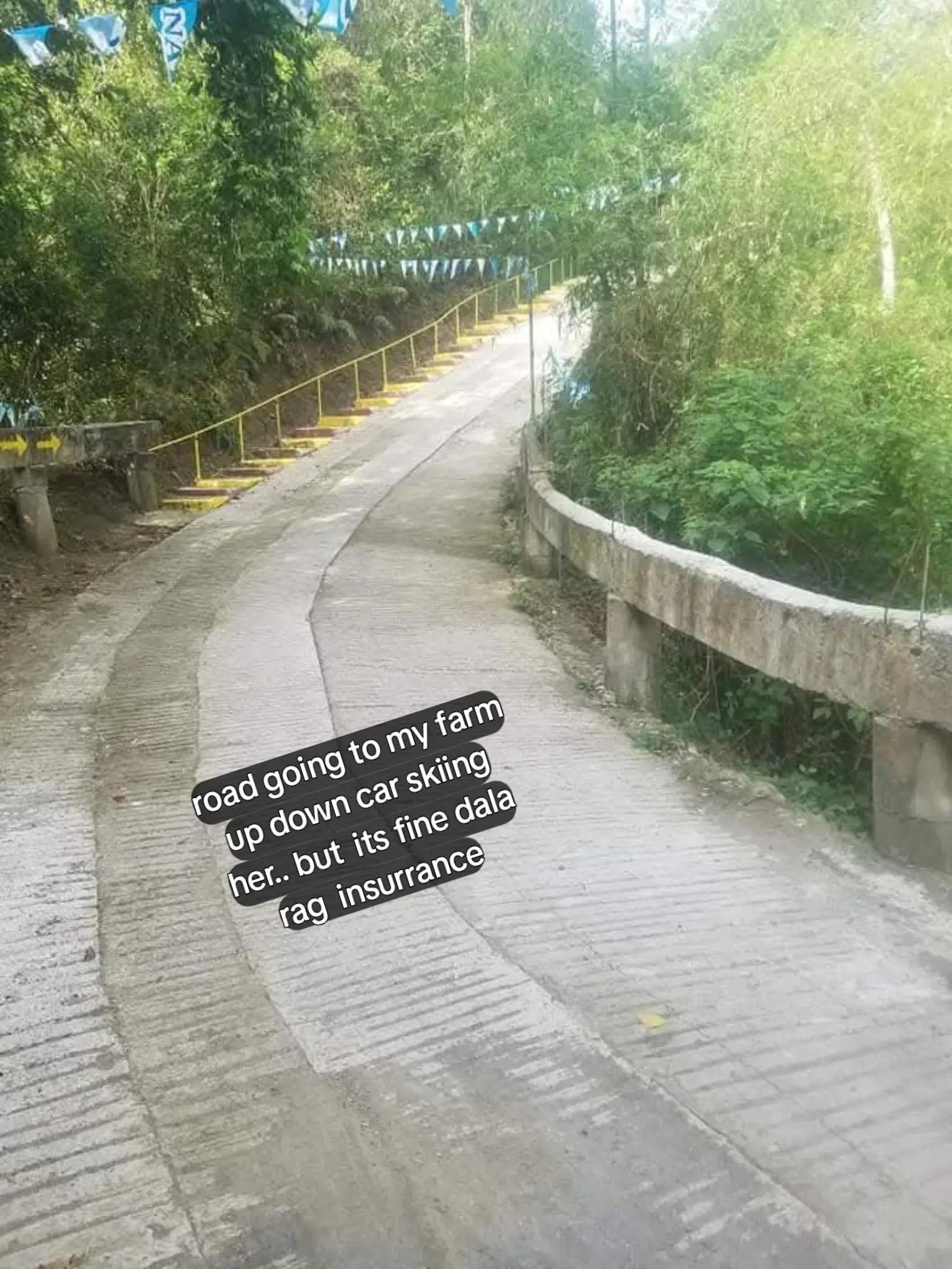 @ariyanababe