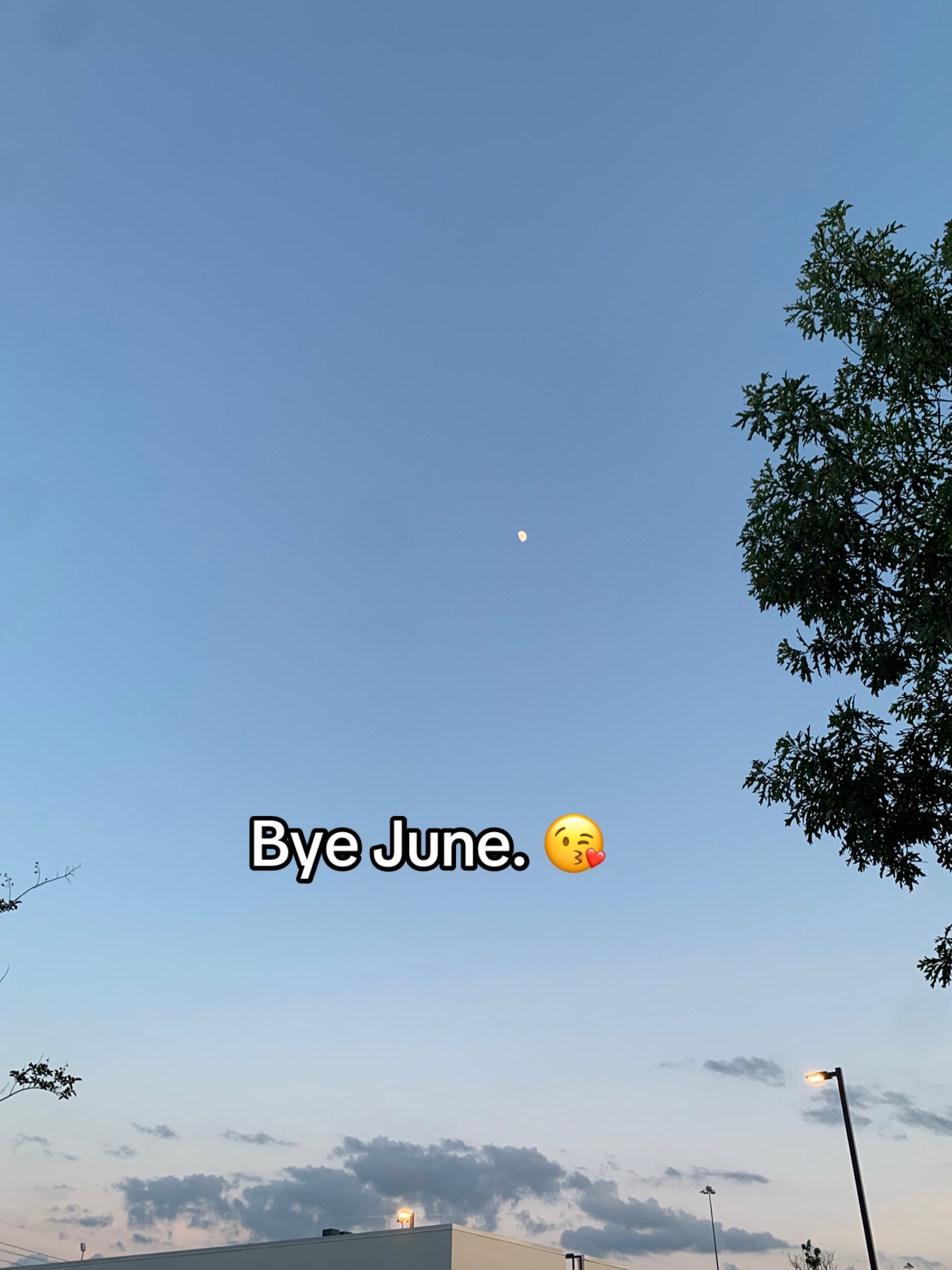 @dani-dee🦋