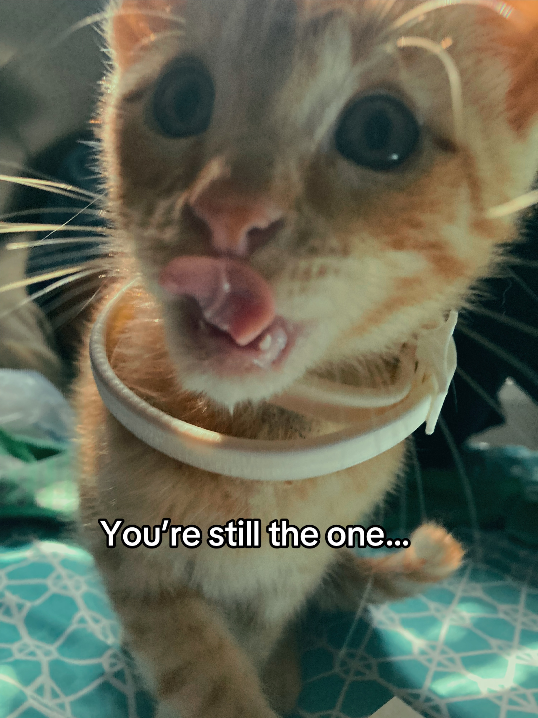 @Emma Scarlet