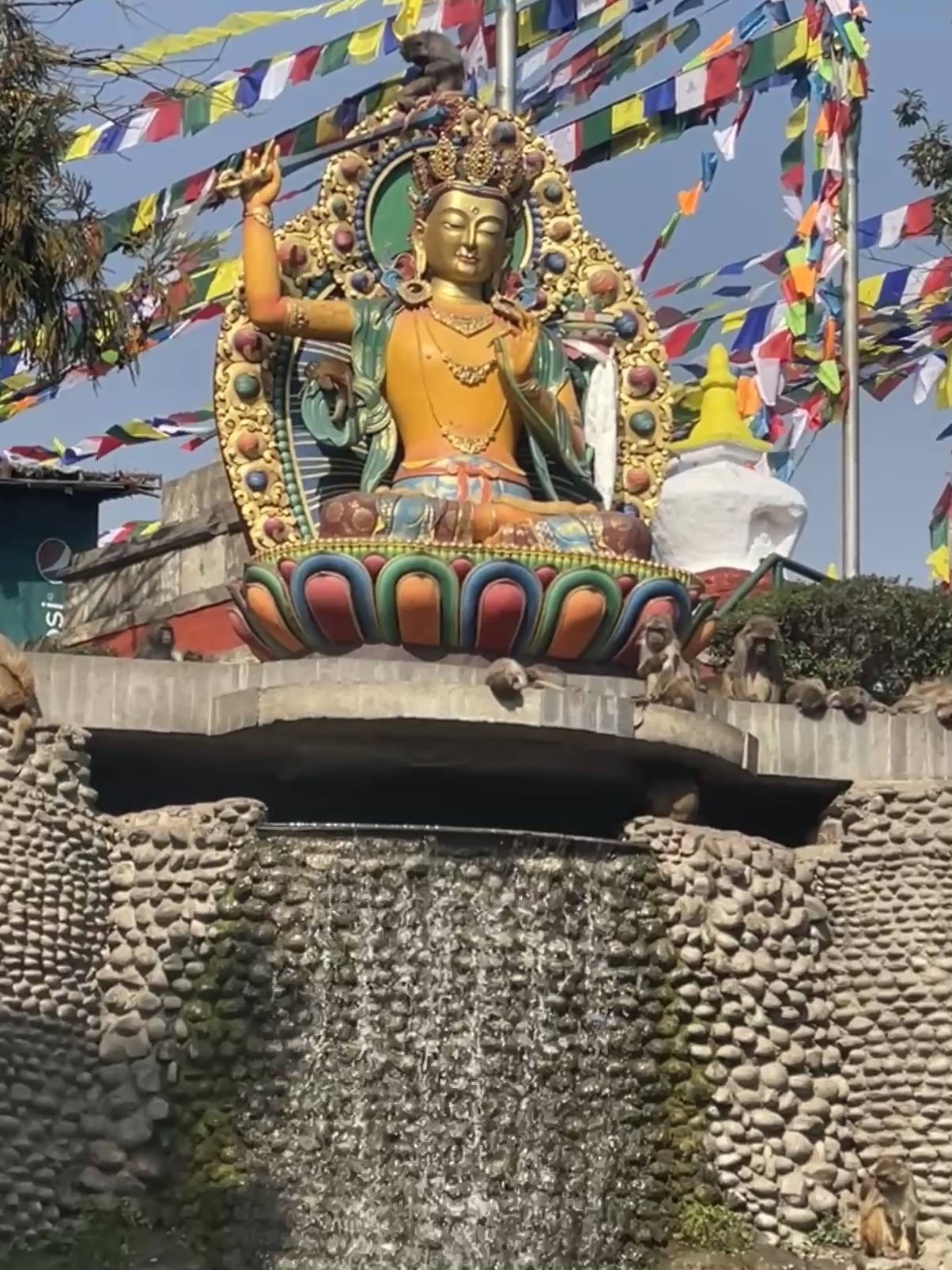 @Pratikala Rai🦚