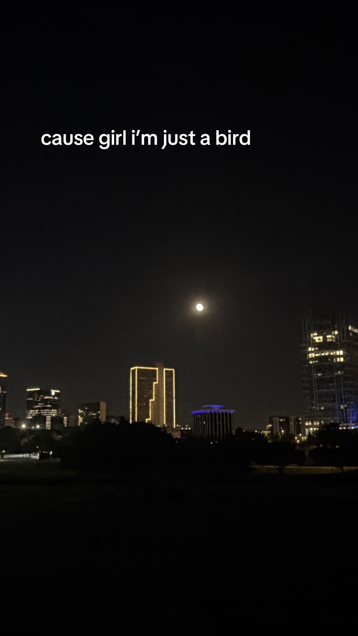 @ᥫ᭡