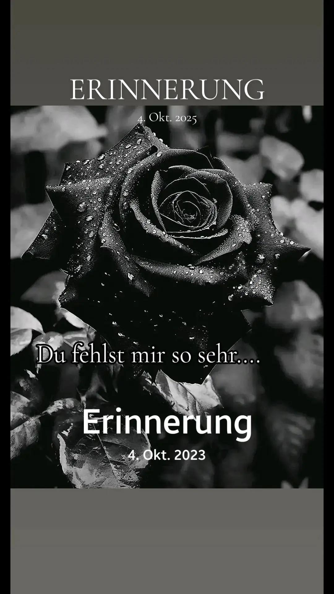 @schwabenland71