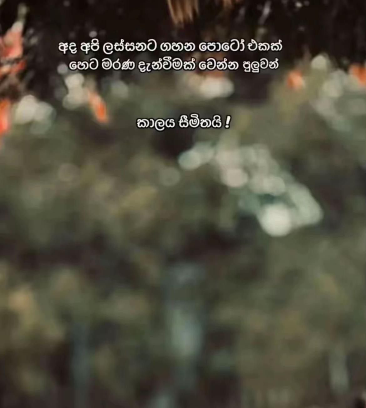 @👅පැලේ 💗🫀3/24 🫶❤️