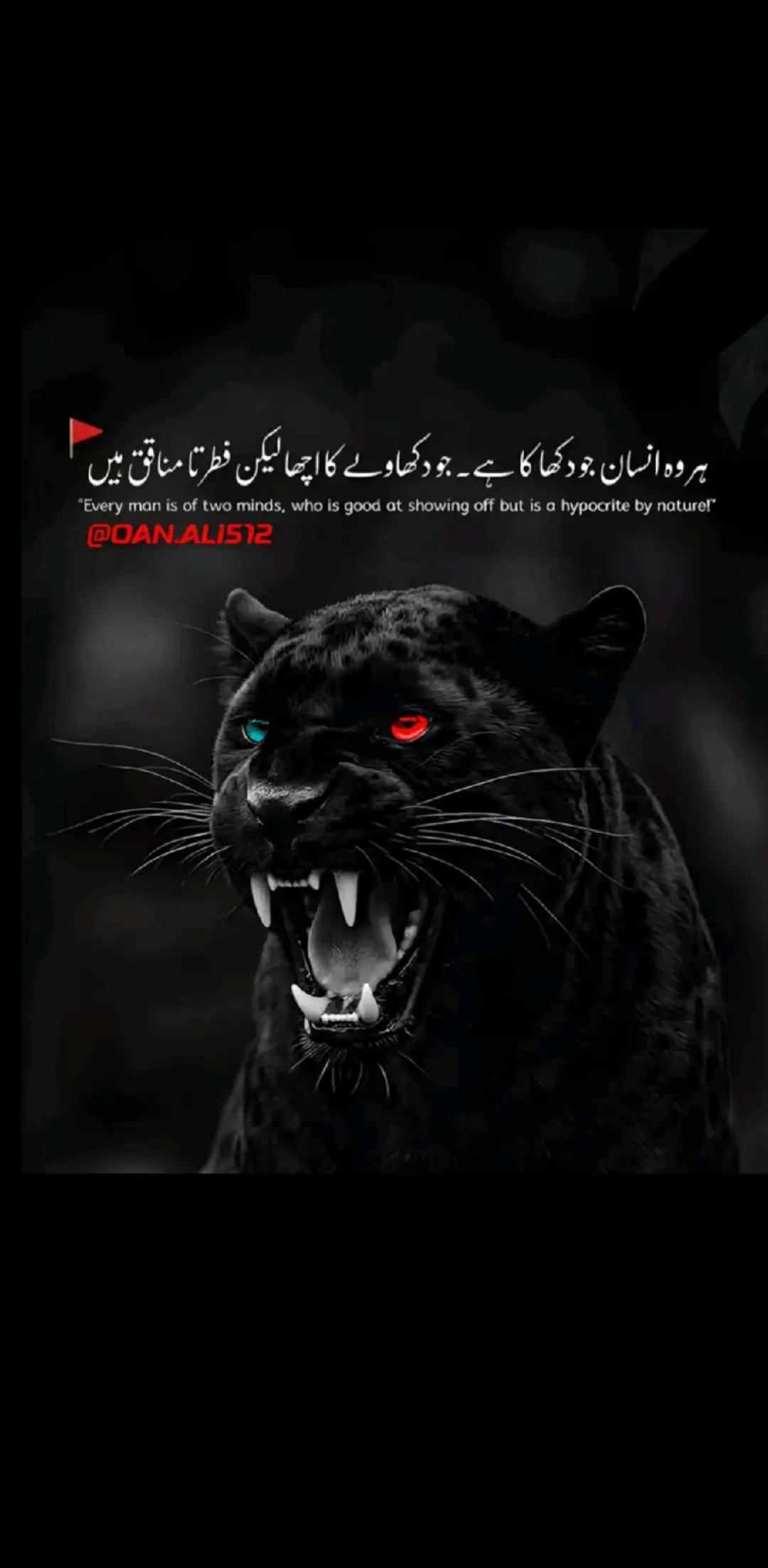 @💫عمیر خان 💫