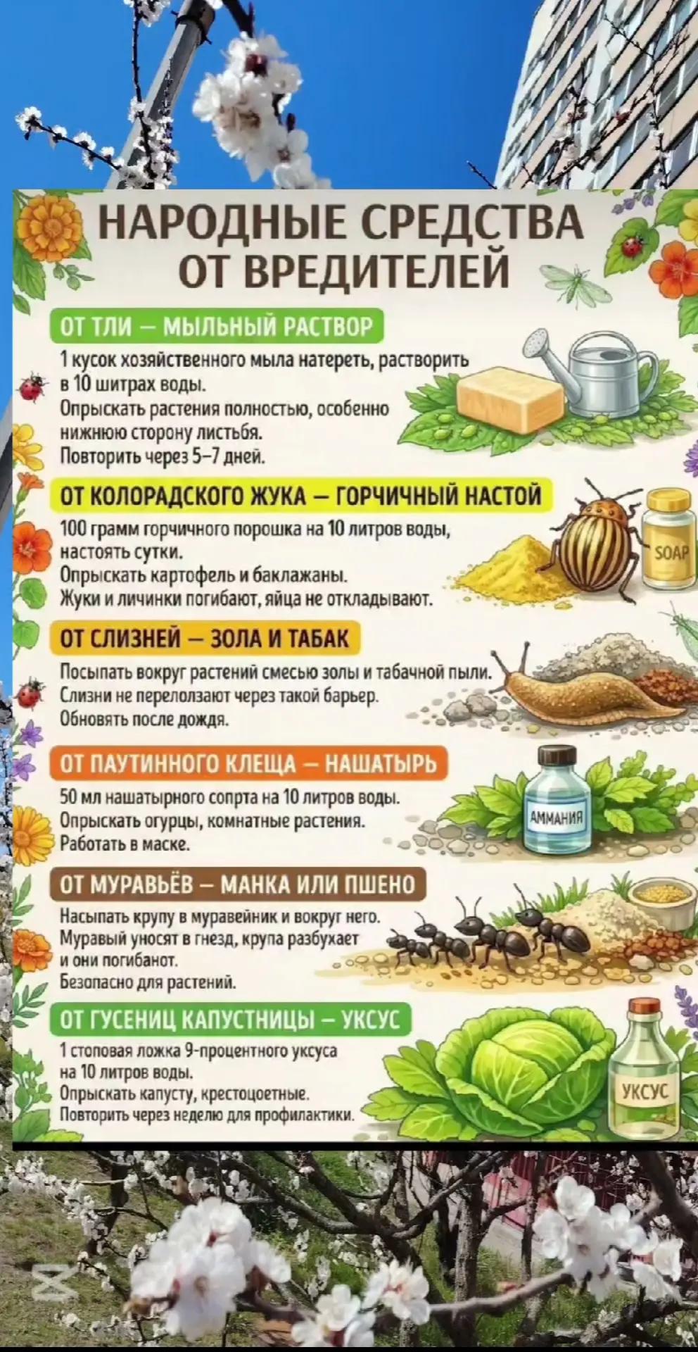 @Наталия Мельниченко