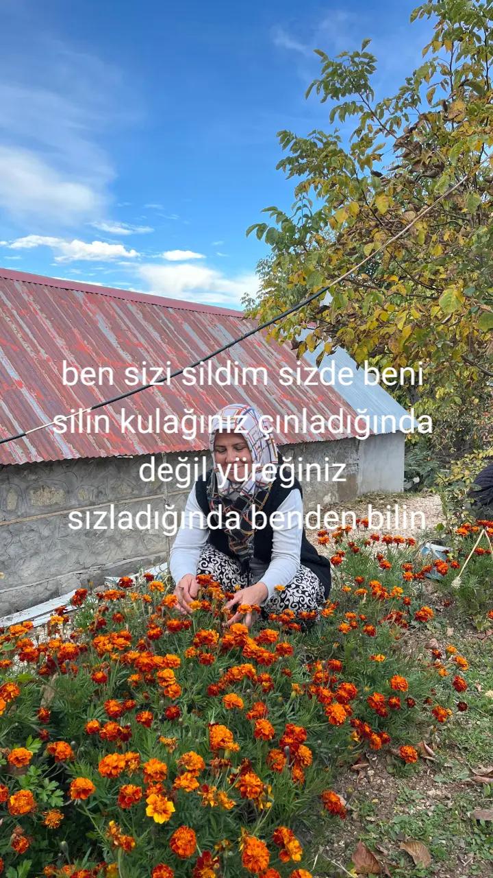 @Nursel Aydoğan