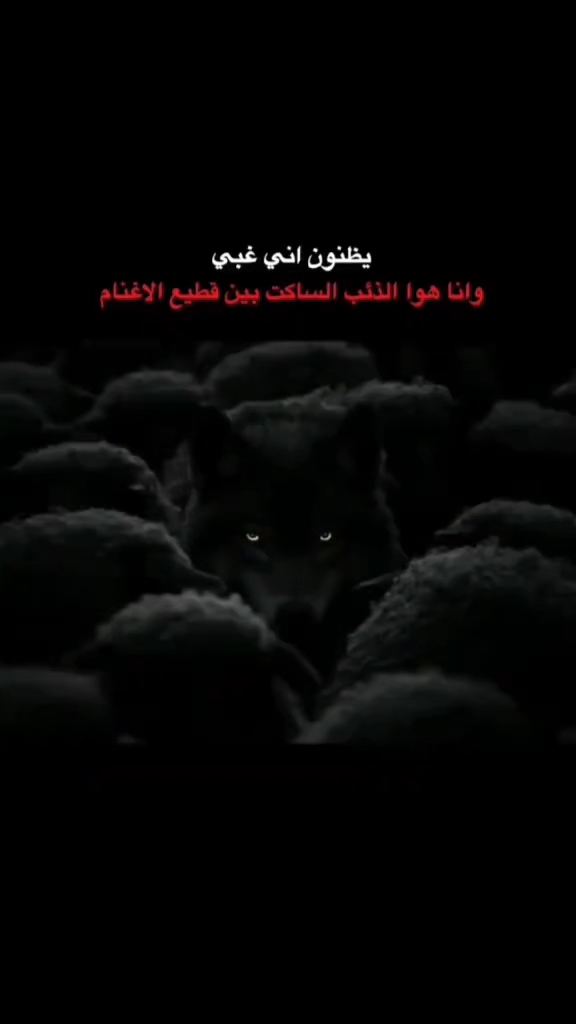 @المكسيكي لآ يخون 🫆🥇