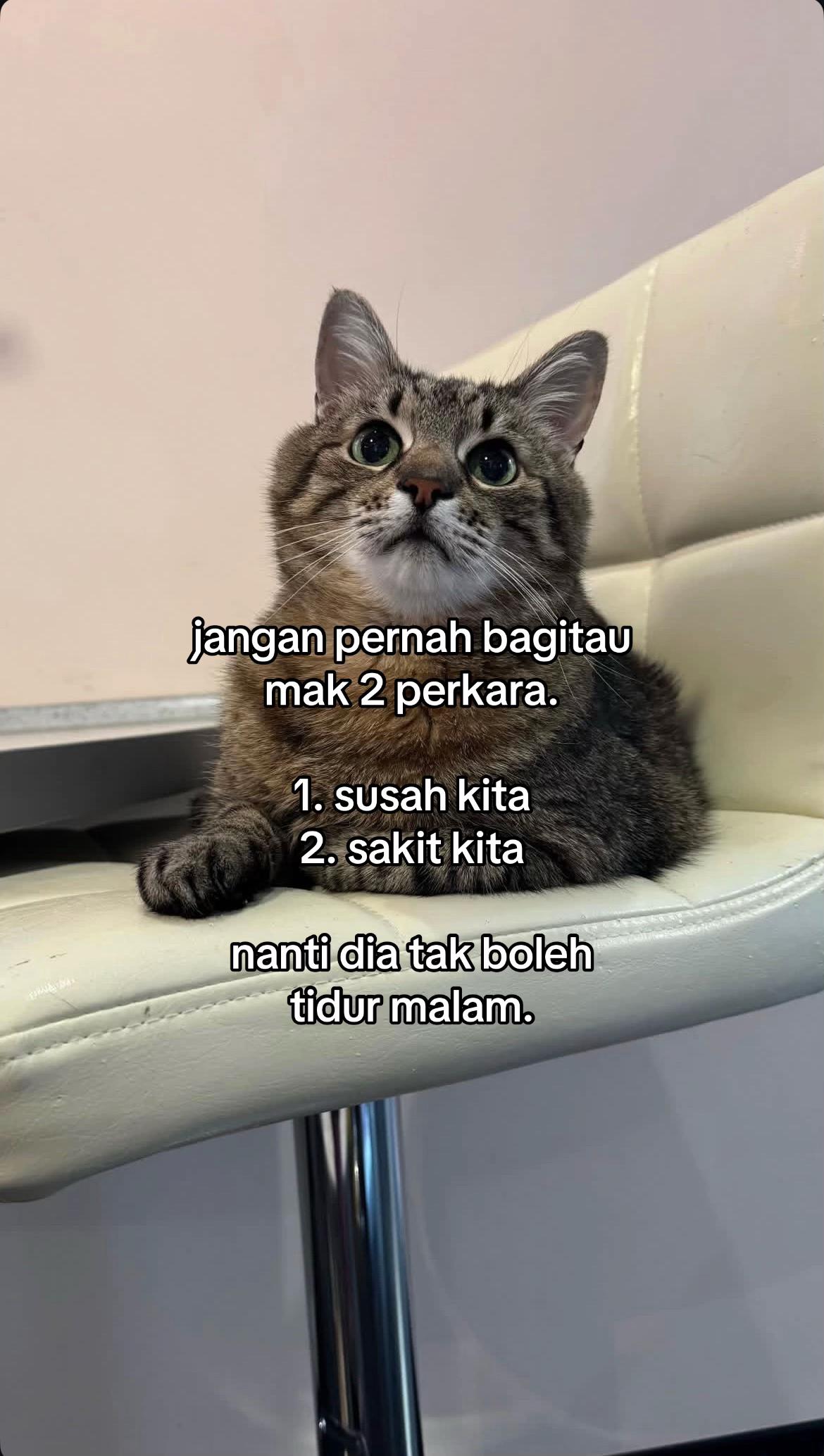 @ngeong prot prot