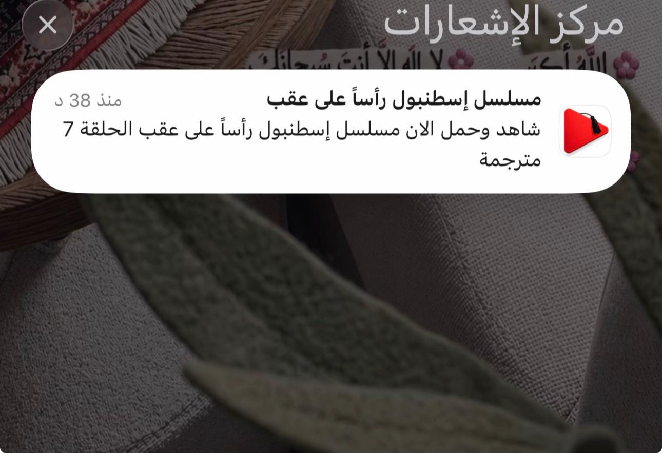 @فـاطـمـهه 🌿✨