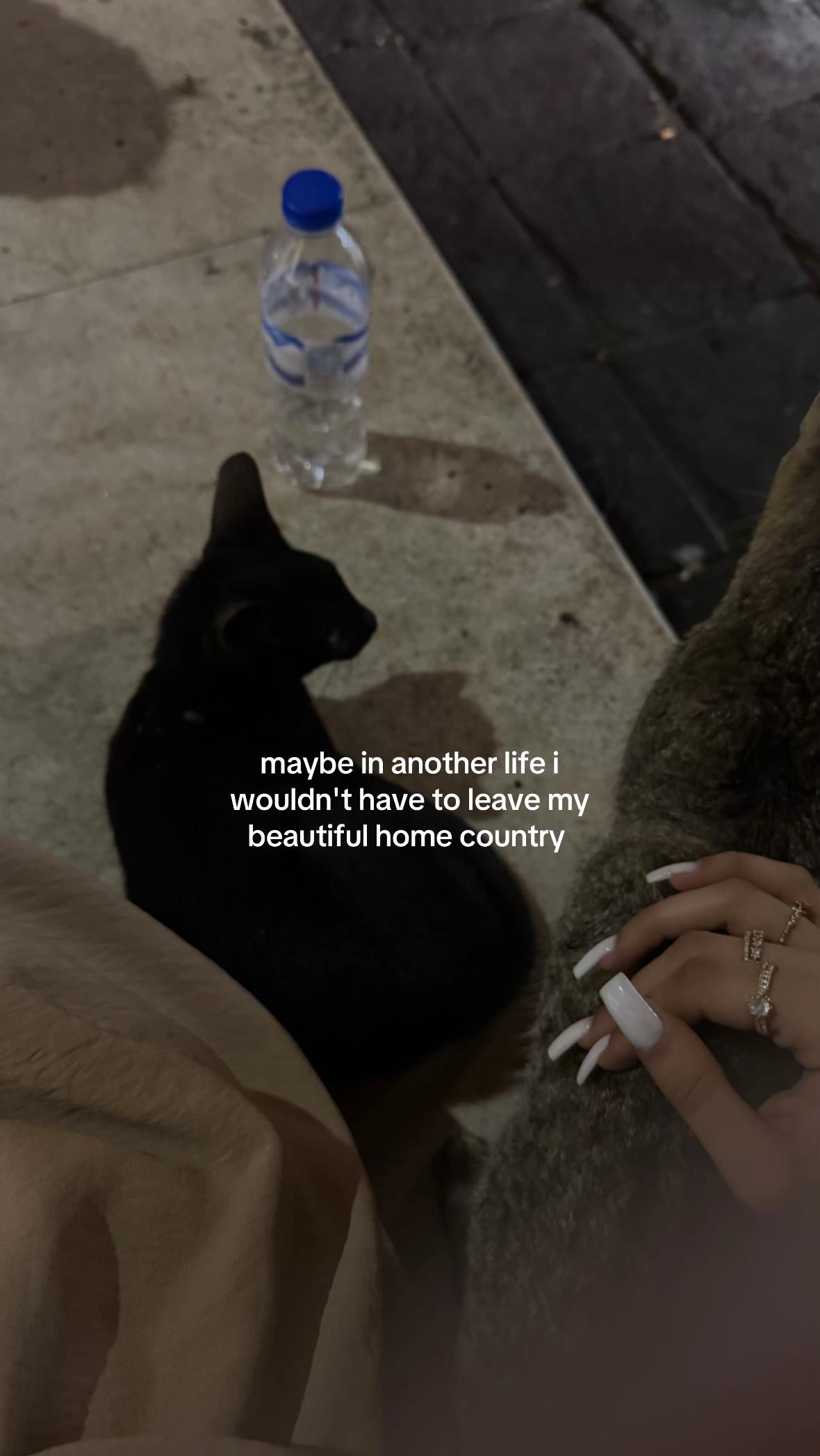 @𝒮𝒜ℳℐ𝒜