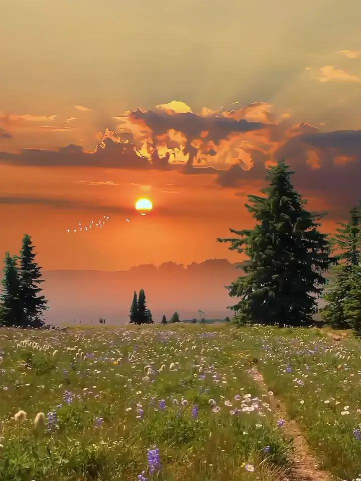 @Ali ❤️786#55