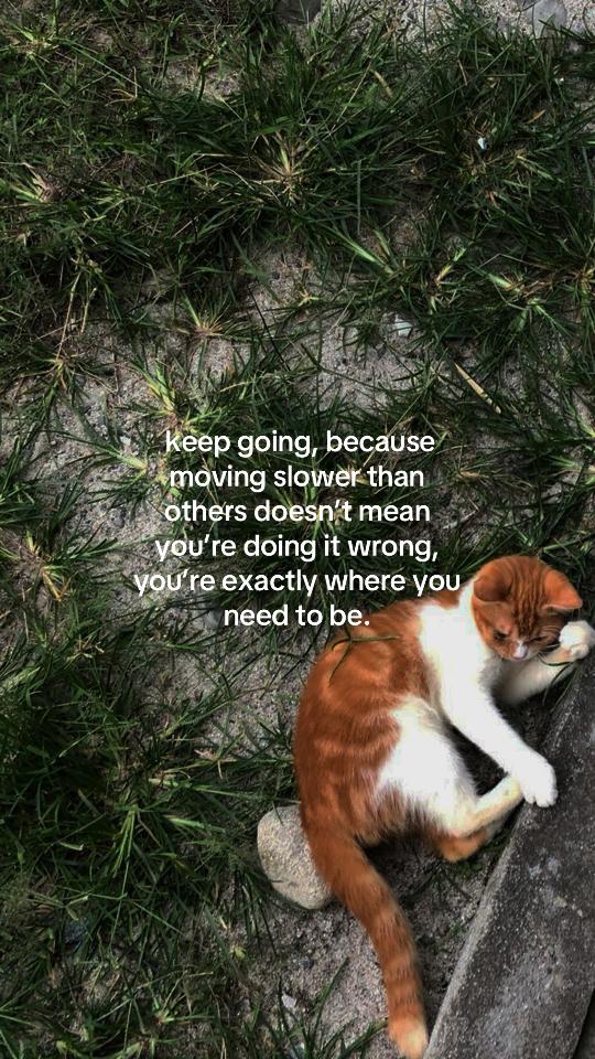 @Quotesrackssss