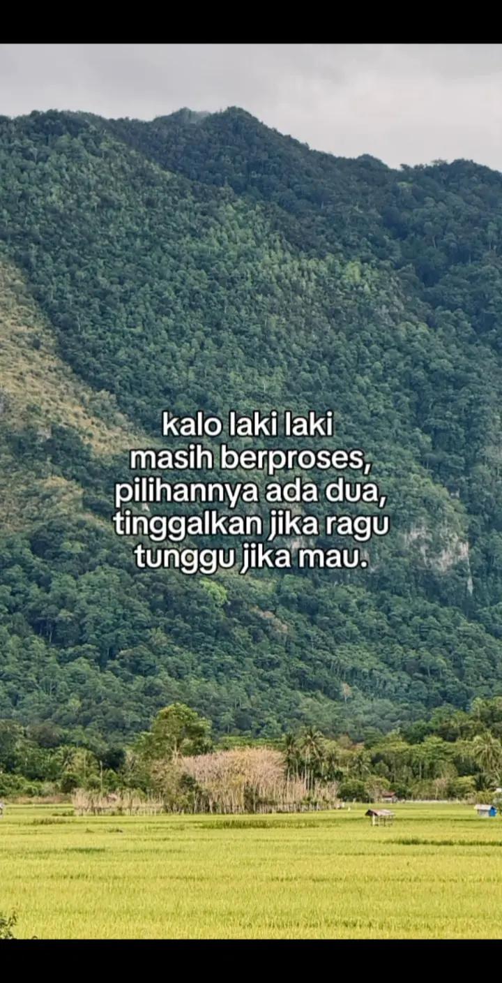 @H A N⚡