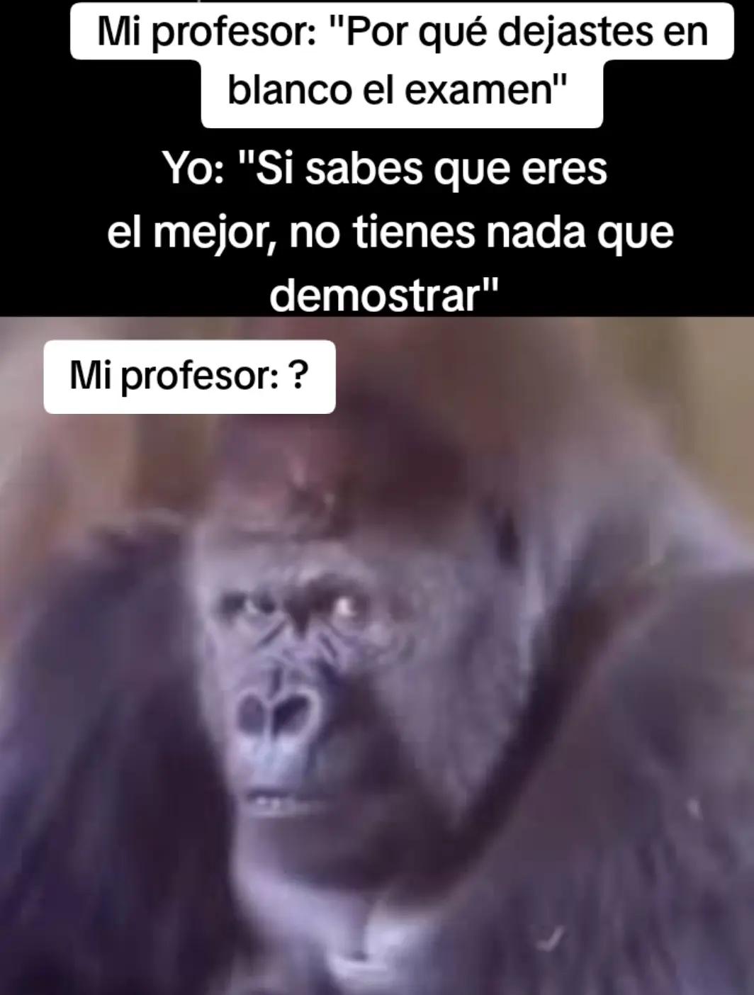 @ɴᴇʟsᴏɴXᴅ⛎