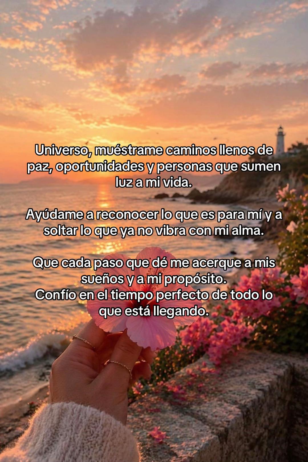 @Paragustosloscolores00