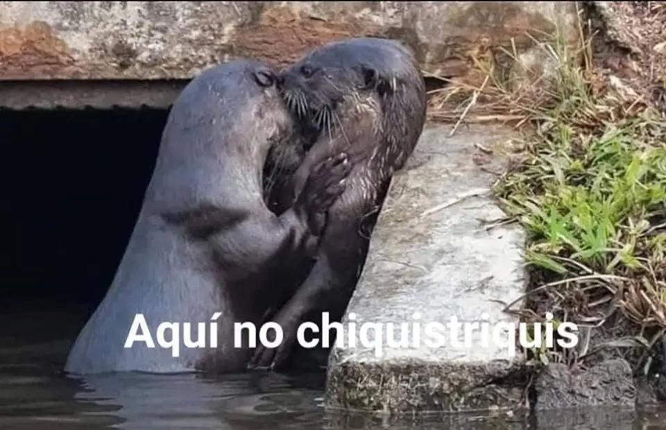 @EriYan