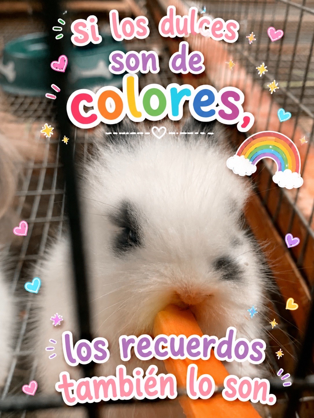 @𝓢𝓬𝓪𝓻𝓵𝓮𝓽𝓽 ᥫ᭡