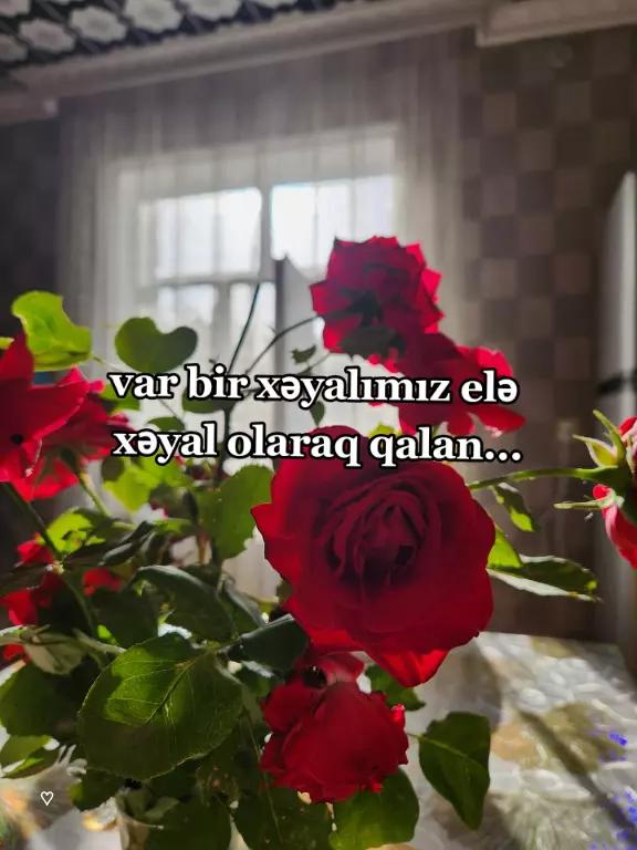 @vardis_bibila♡