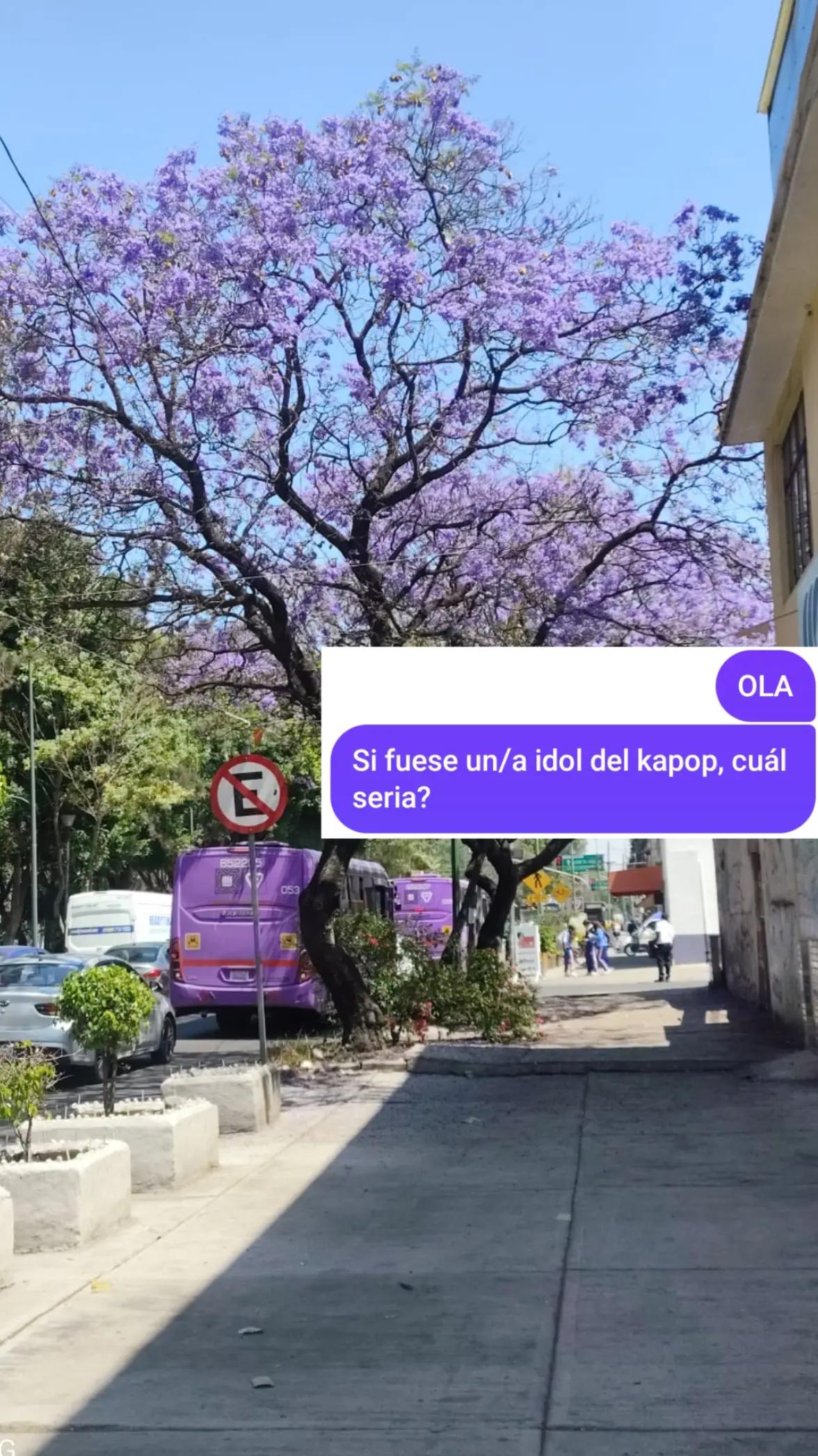 @˒˓   𐑫ɑ𝗹ᧉ&nbsp;   ׄ&nbsp;&nbsp; ᨦᨩ