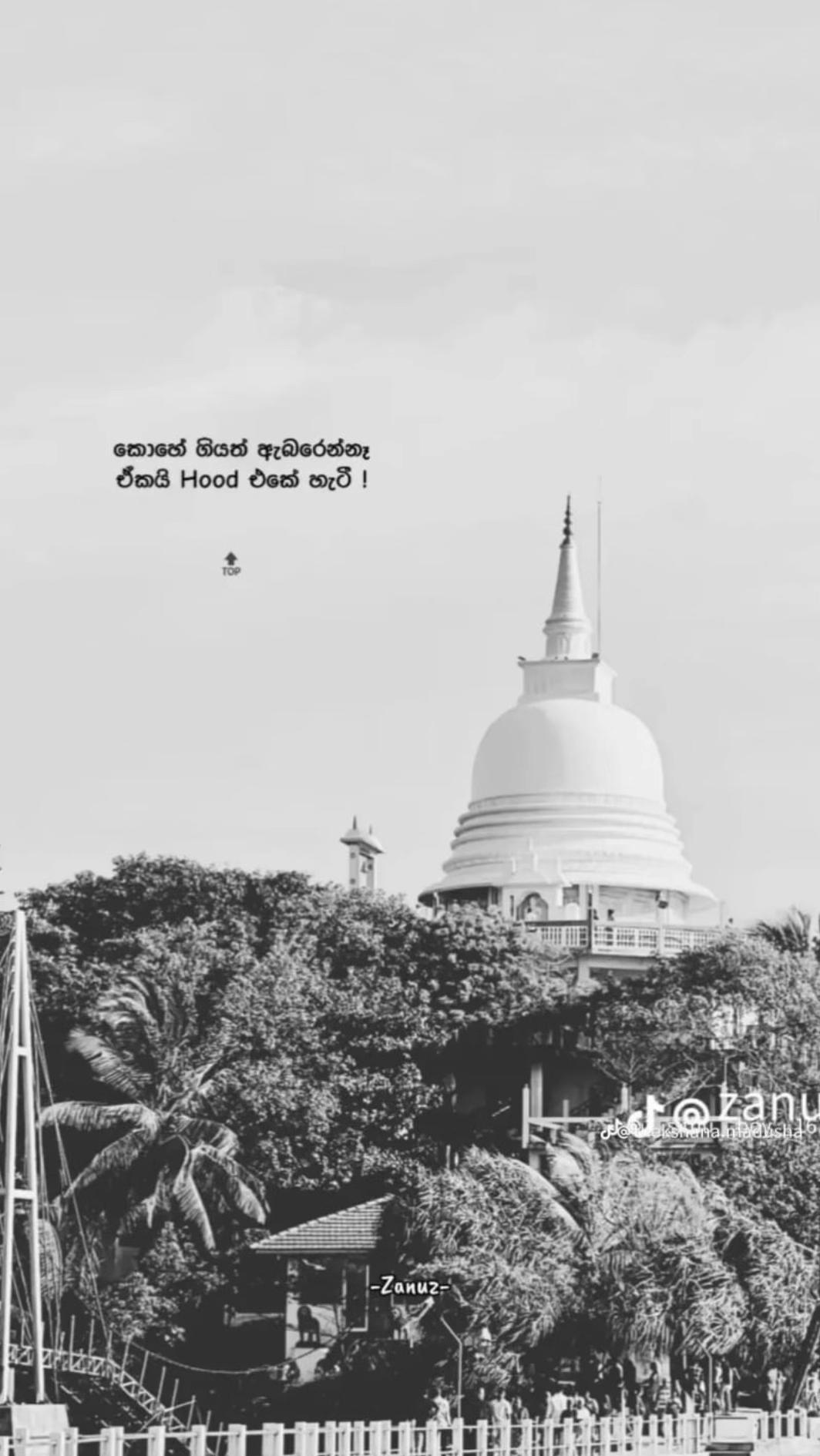 @๐๐๐๐๐๐๐๐_๐ถ๐ช๐ต๐ต๐ฒ๐คโจ