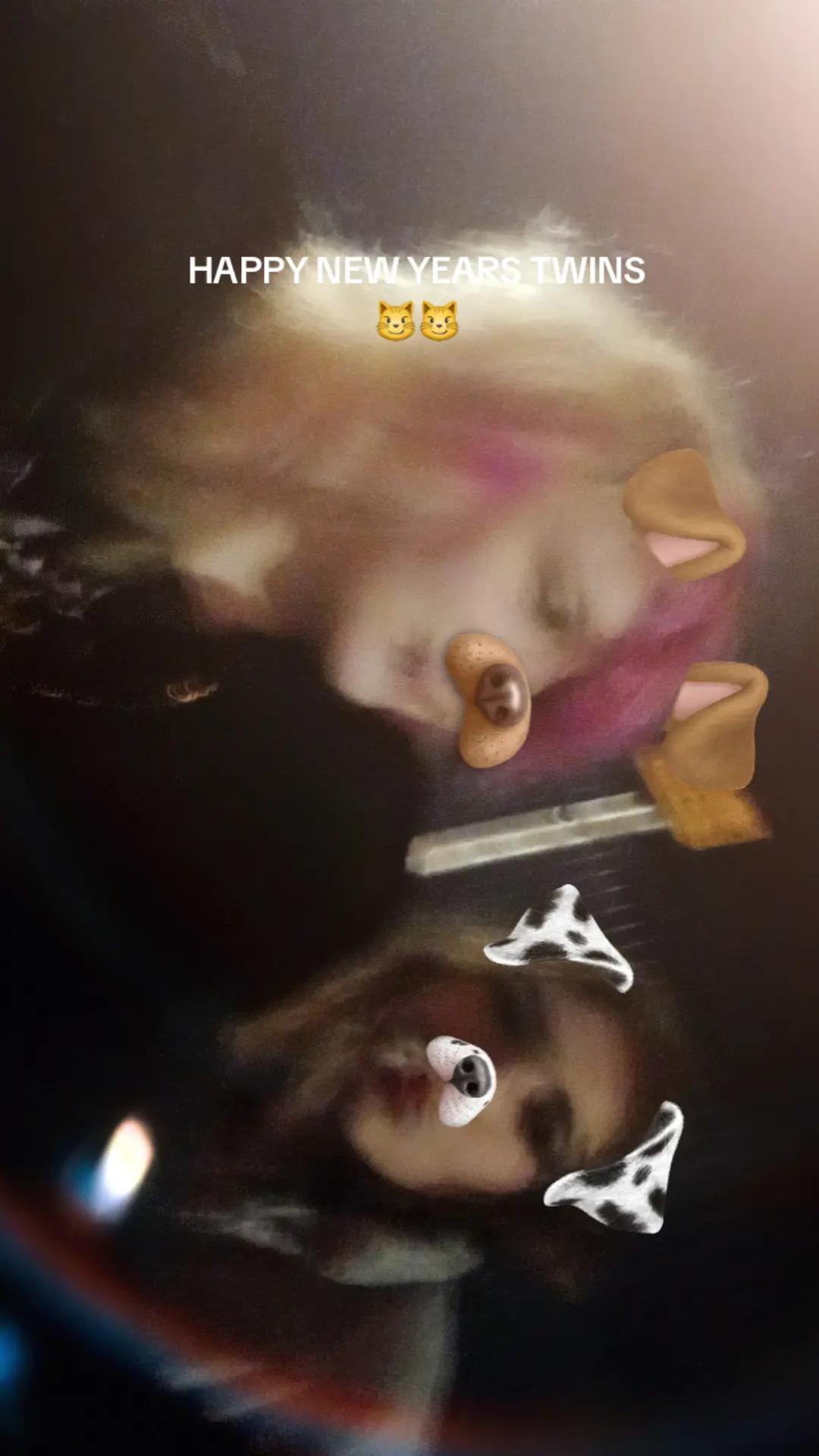 @Moxxie 🦇🩸