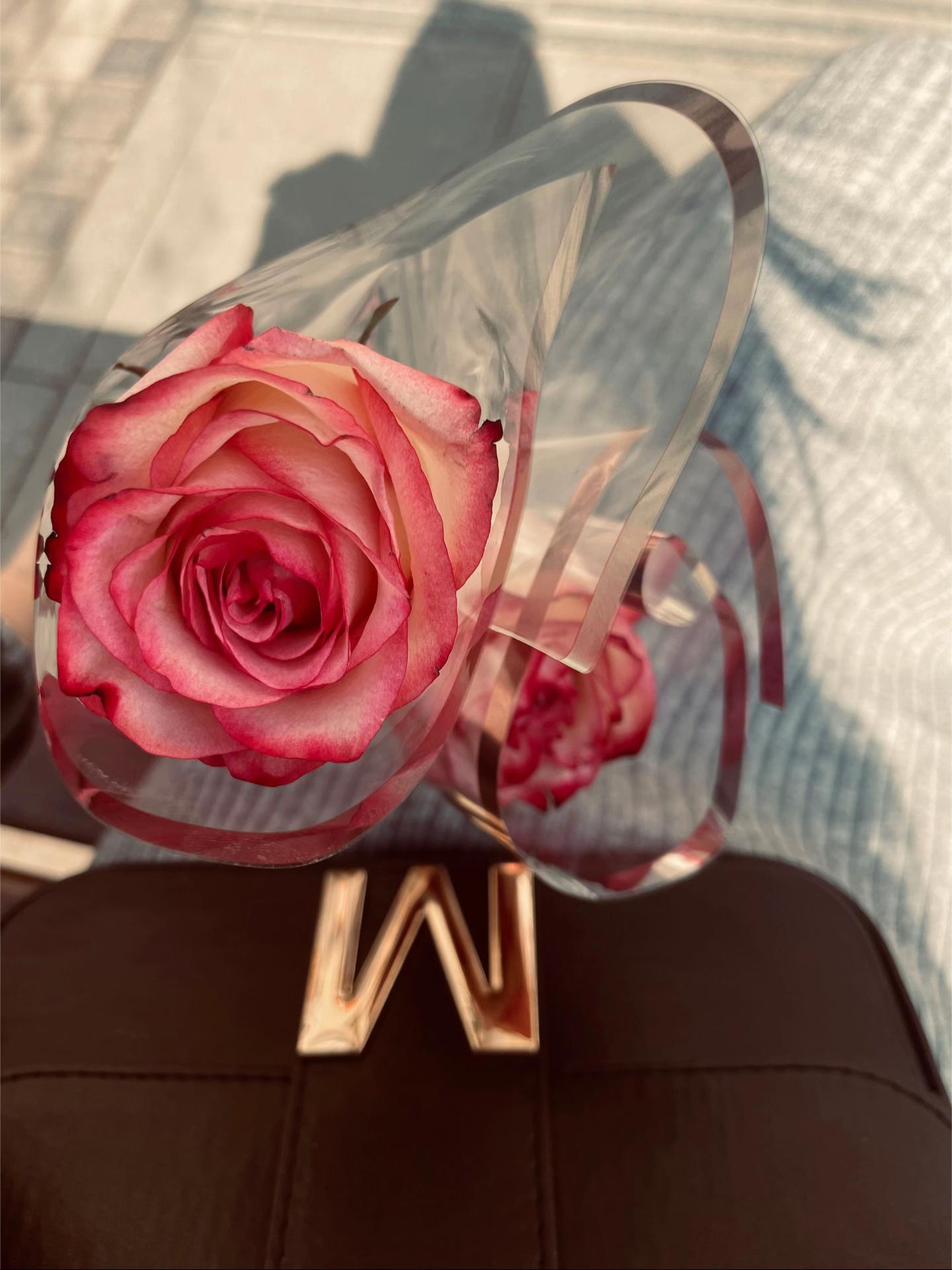 @𝓐𝓑 🎀