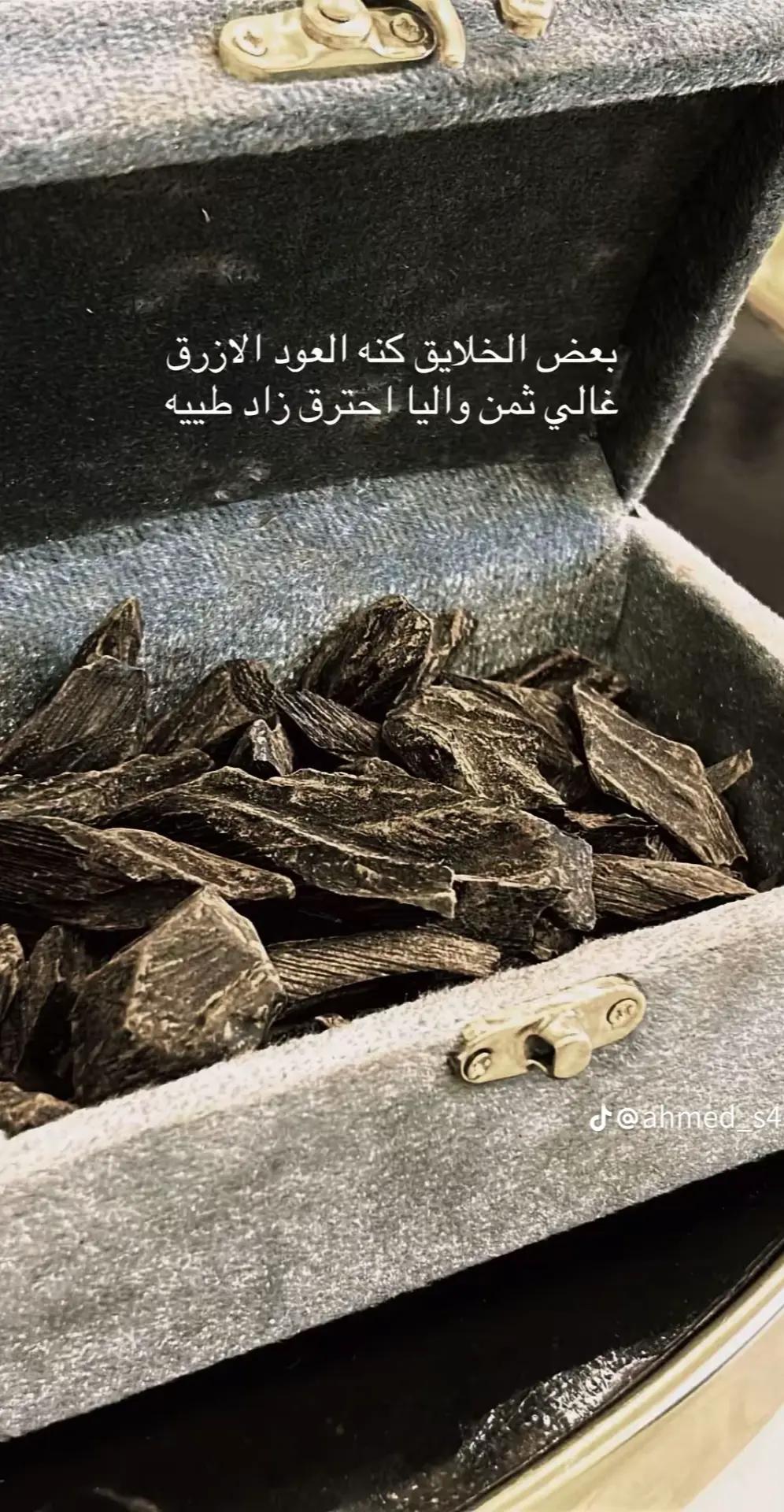 @علي باهبري|ALI BAHBRY