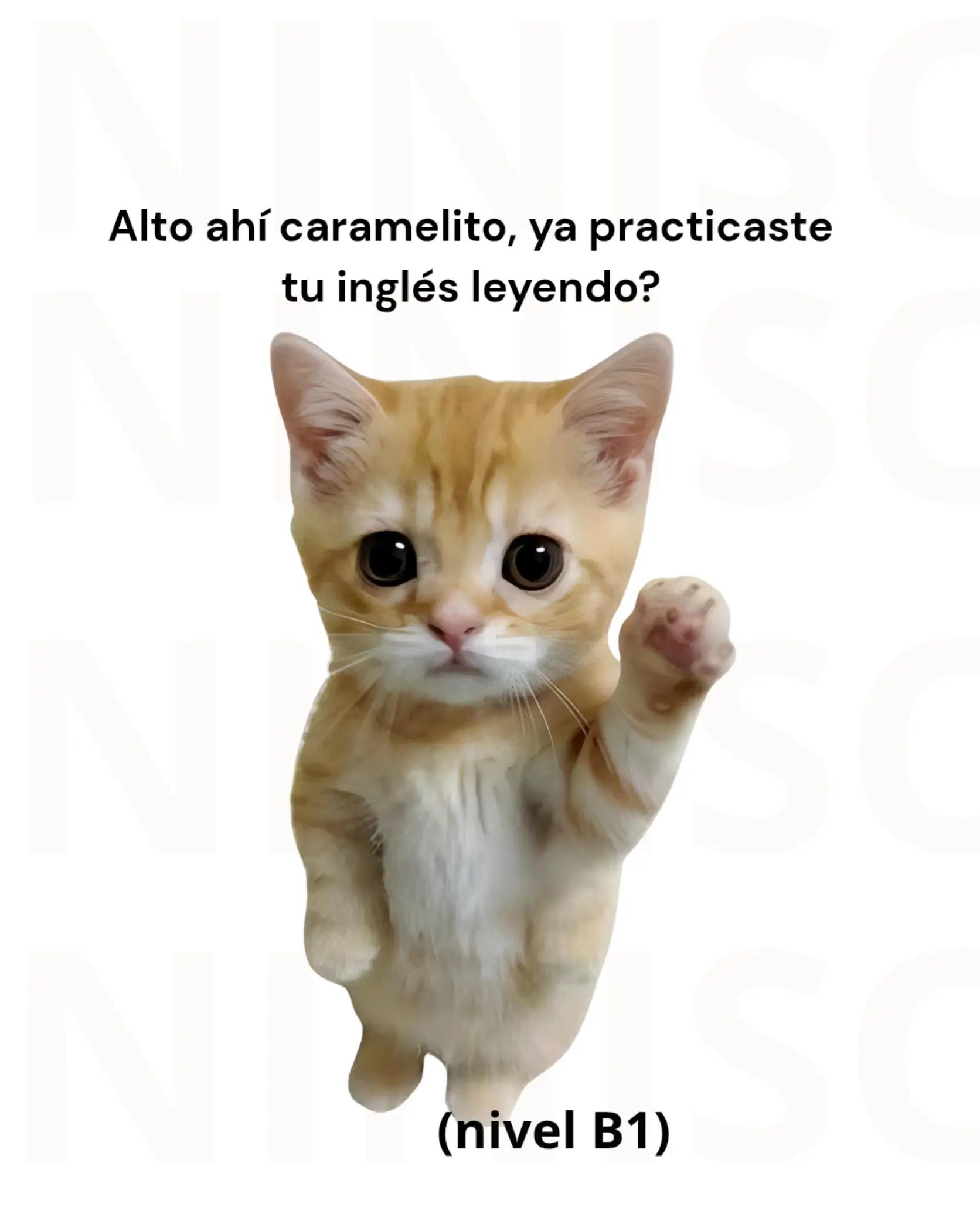 @practicainglescaramelito