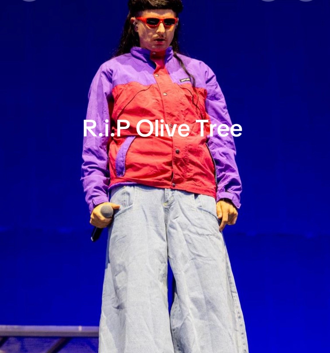 @phoebeperkins659