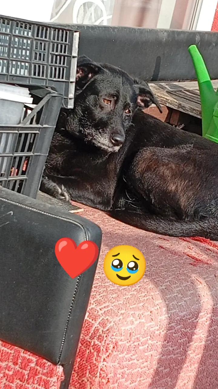 @csak.egy.boldog lány❤️🔥❤️🔐