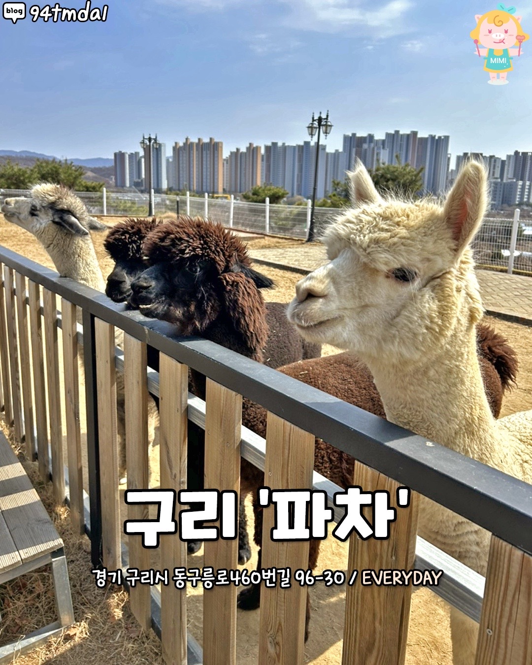 @경기도핫플