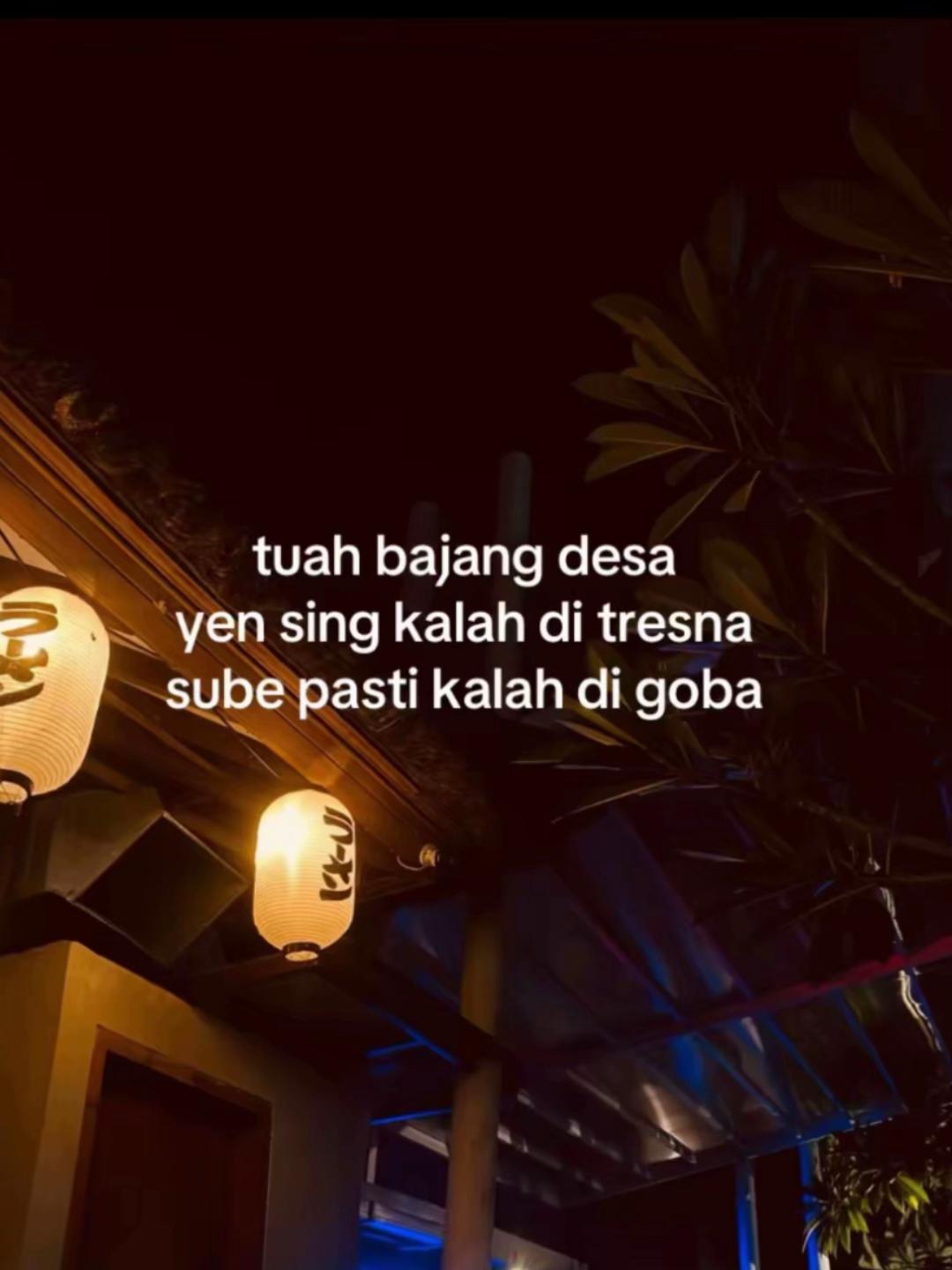 @ayu