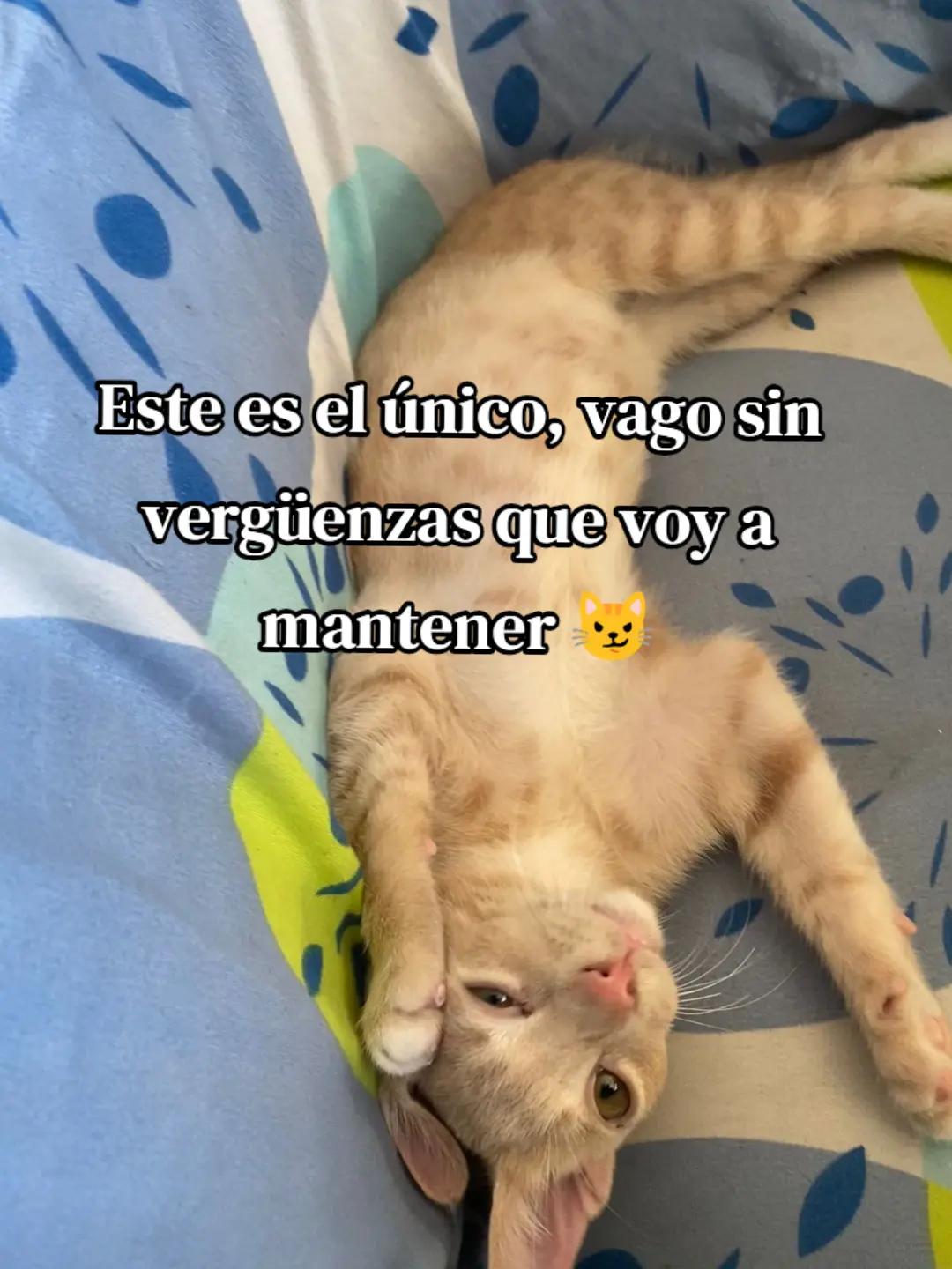 @china Gómez
