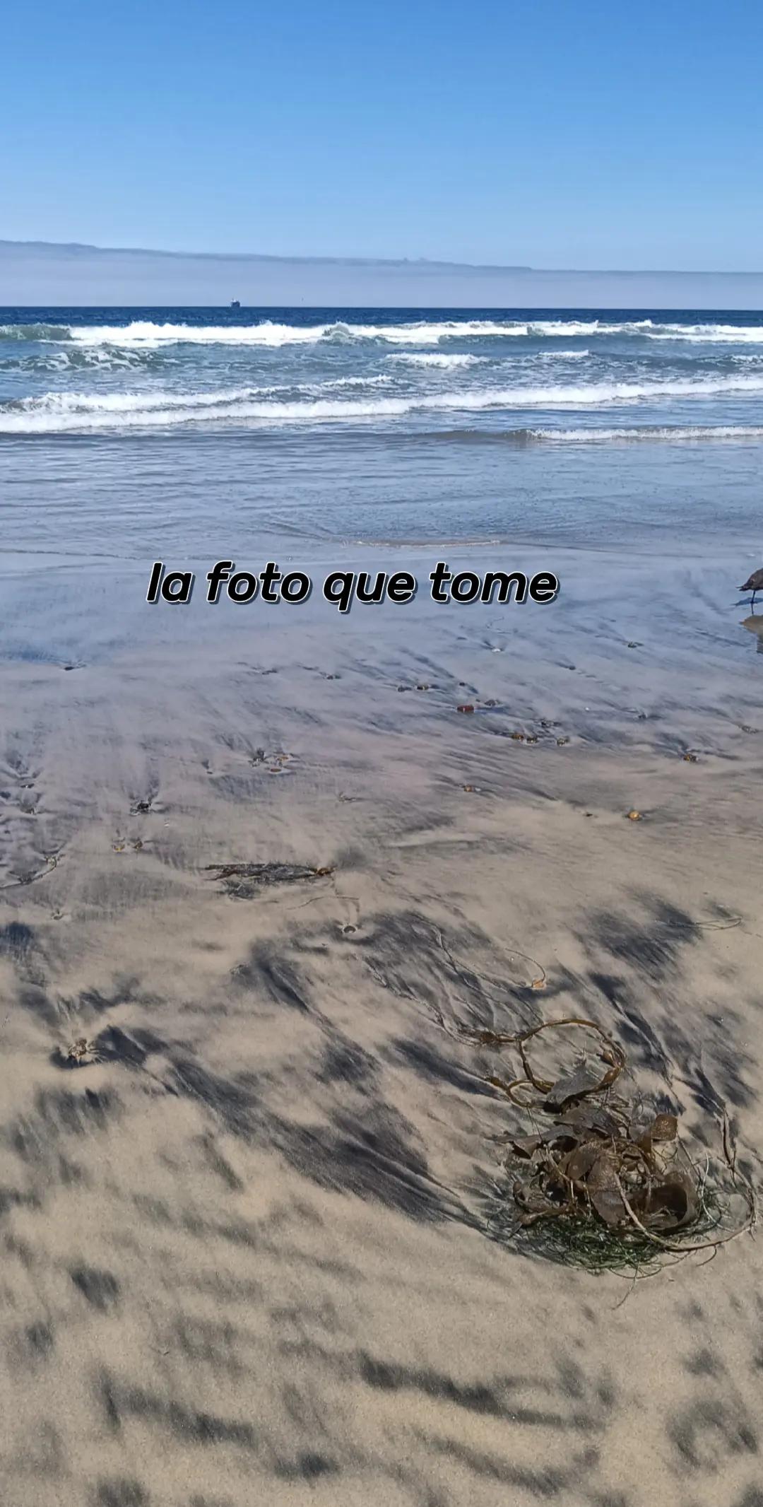 @V. Jiménez