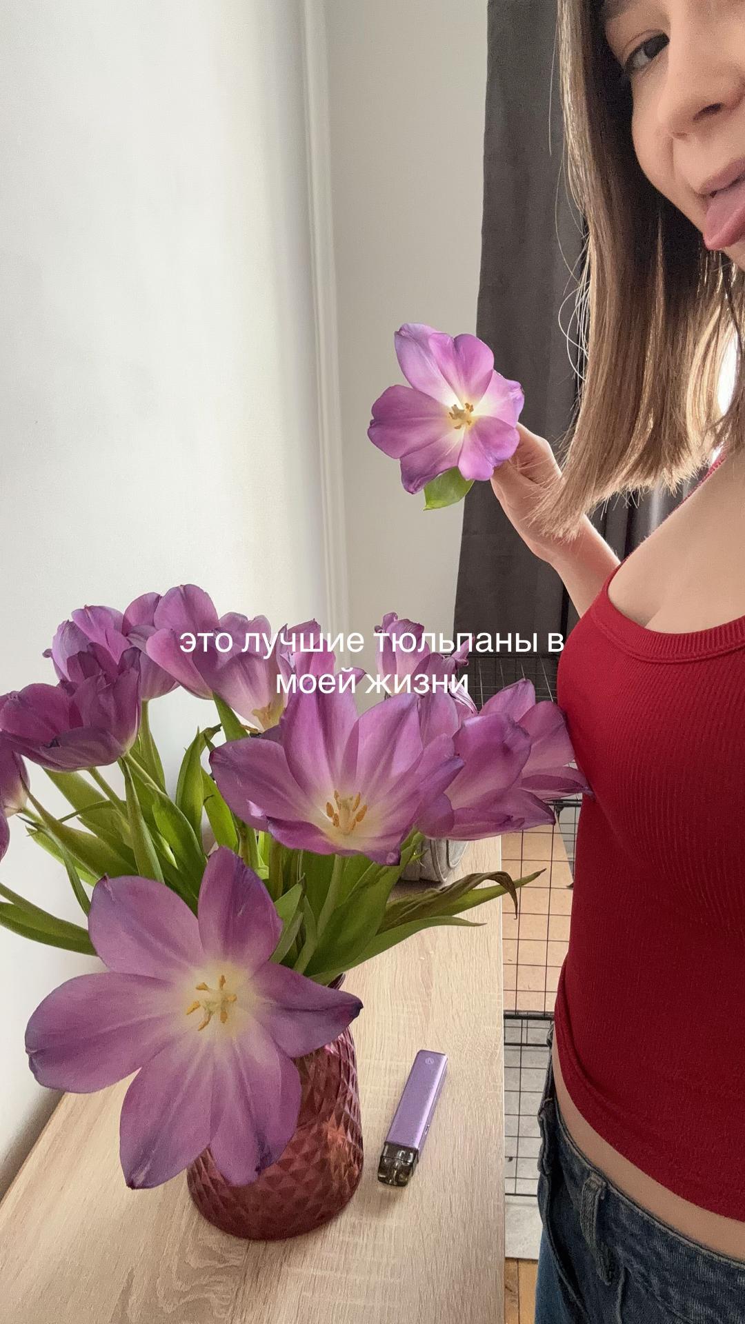@таджбреч