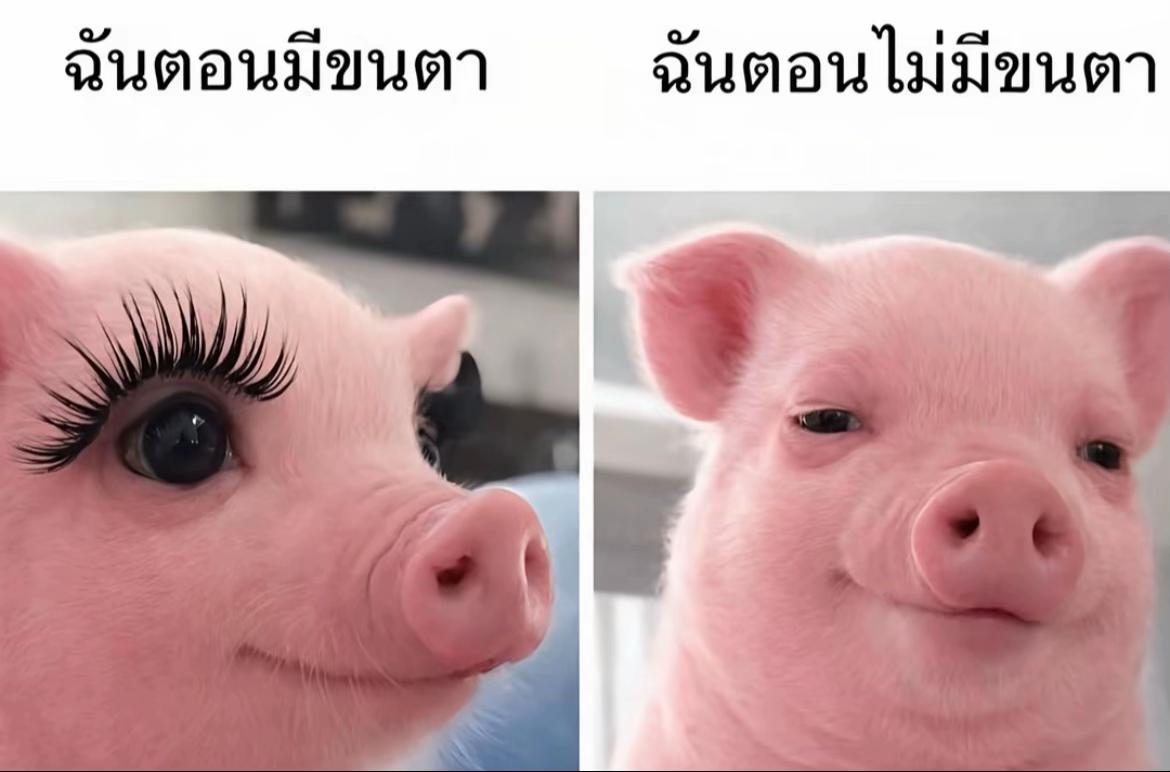 @สามแสนปื้ม
