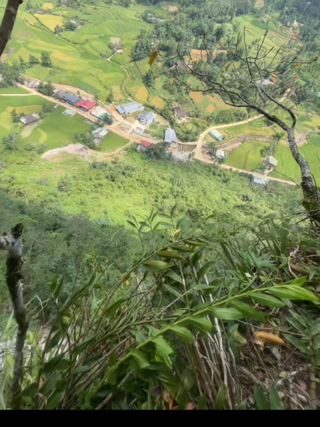 @L&Iacute;U  🇻🇳☣️