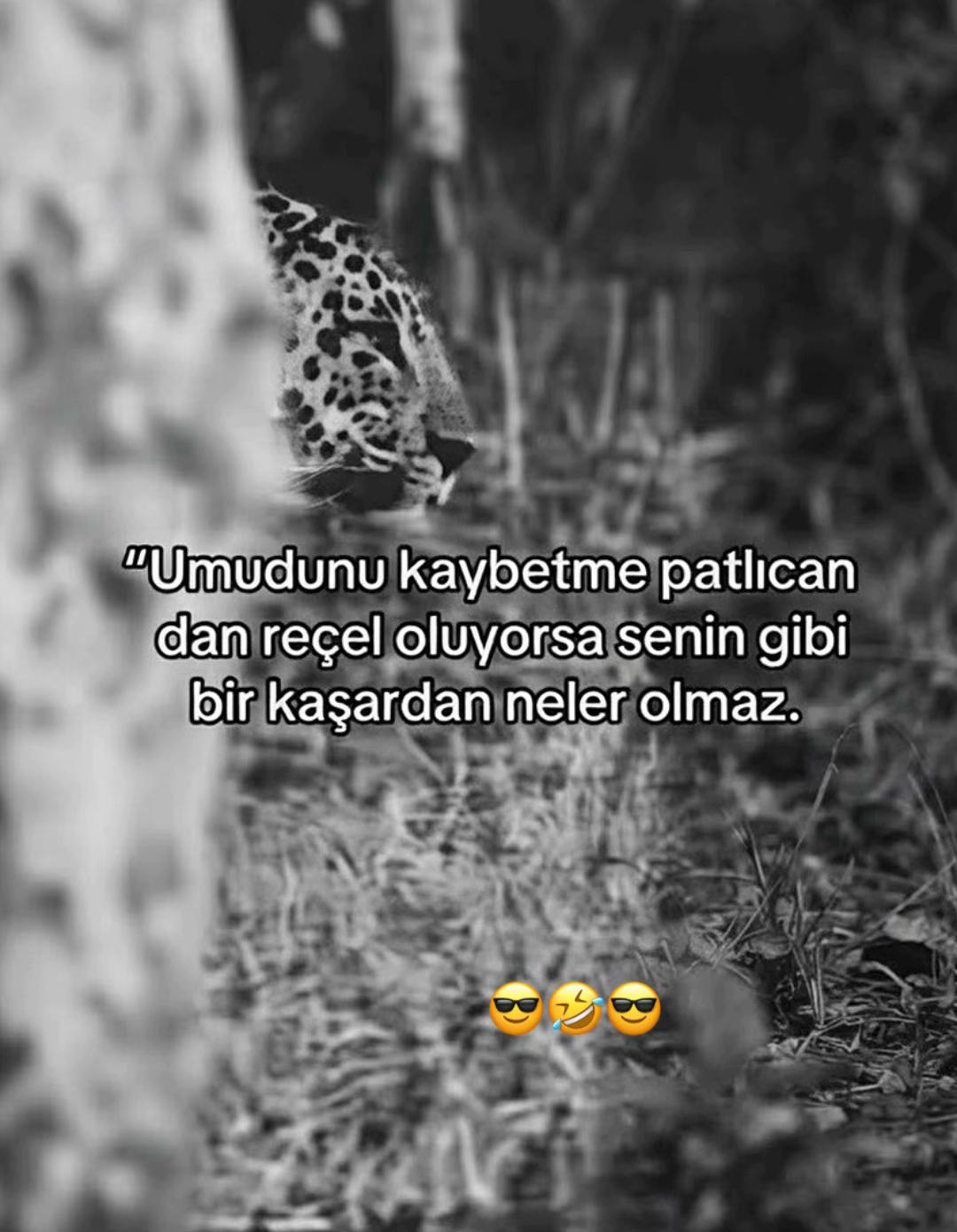 @deniz_2019_34