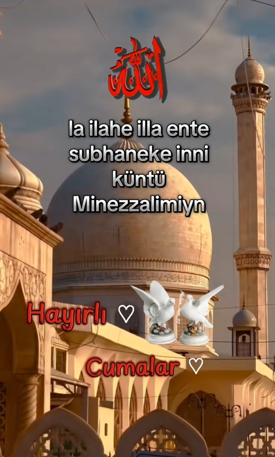 @aslan.44.44