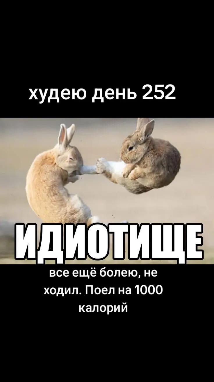 @ХУДЕЮ CUT