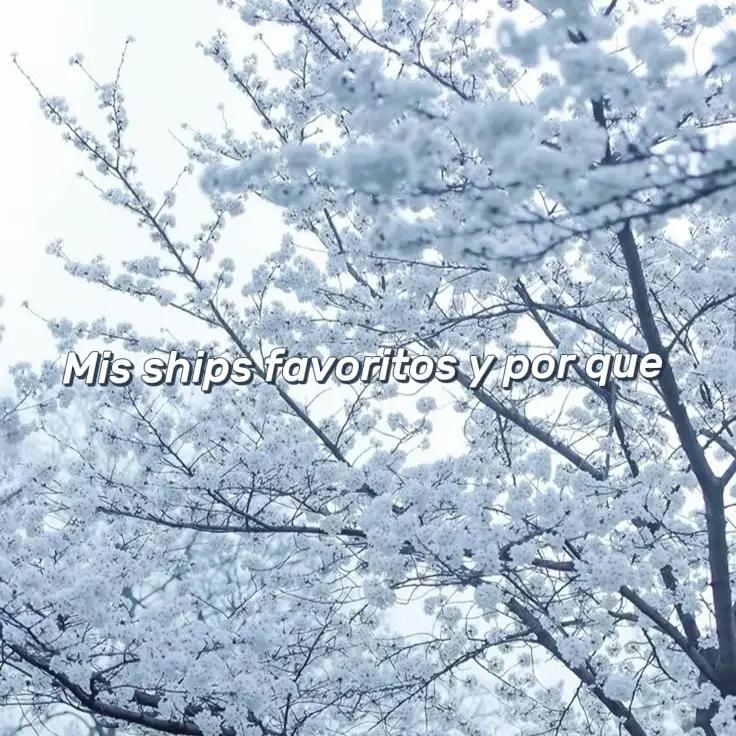 @୨𓏲∘˚𝓣𝓼𝓾𝓴𝓲𝓶𝓮 ˚∘୨𓏲