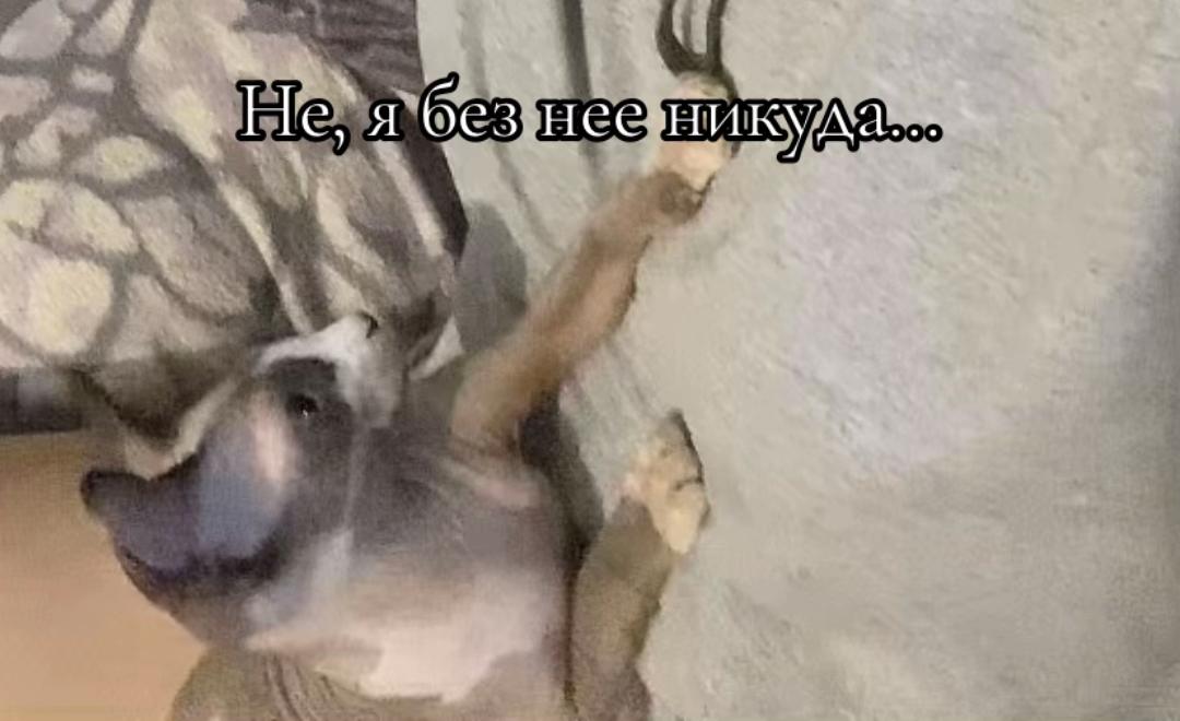 @Тгк:kkypk
