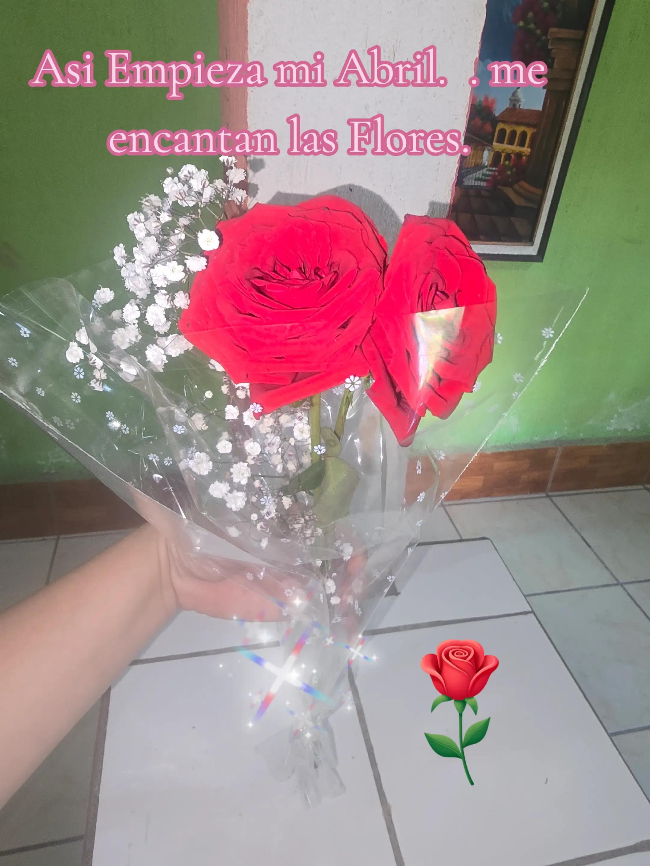 @Enidey Hernandez