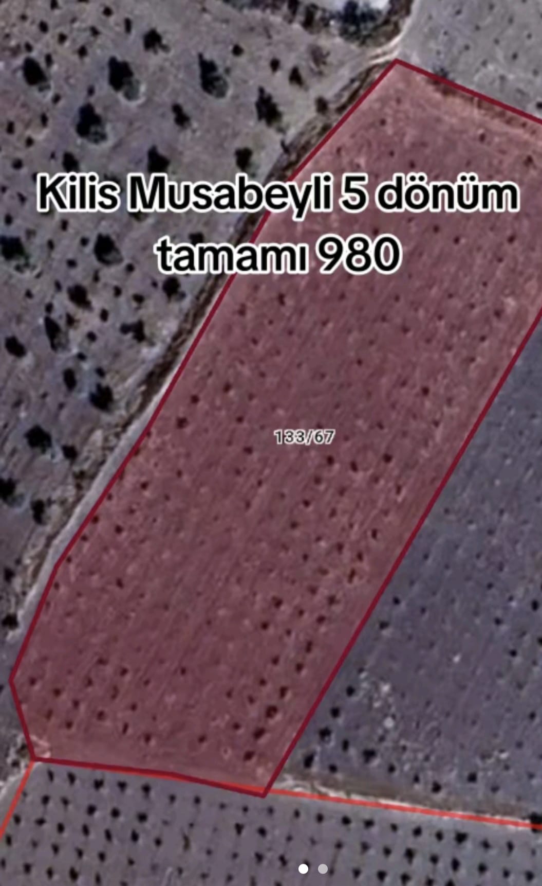 @canpolat emlak 27