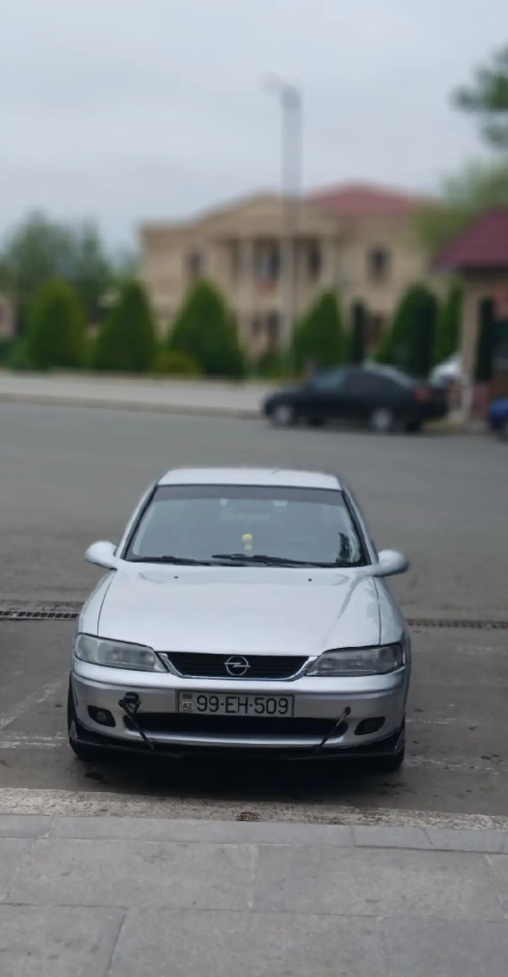 @Batya.04